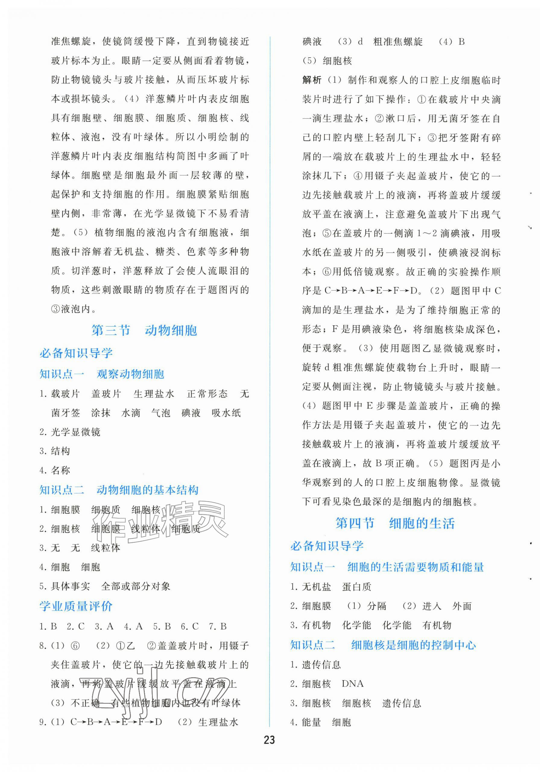 2026年同步轻松练习大象出版社七年级生物上册人教版精练版&nbsp;第3页