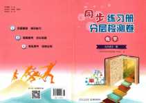 2024年同步練習冊分層檢測卷九年級化學全一冊