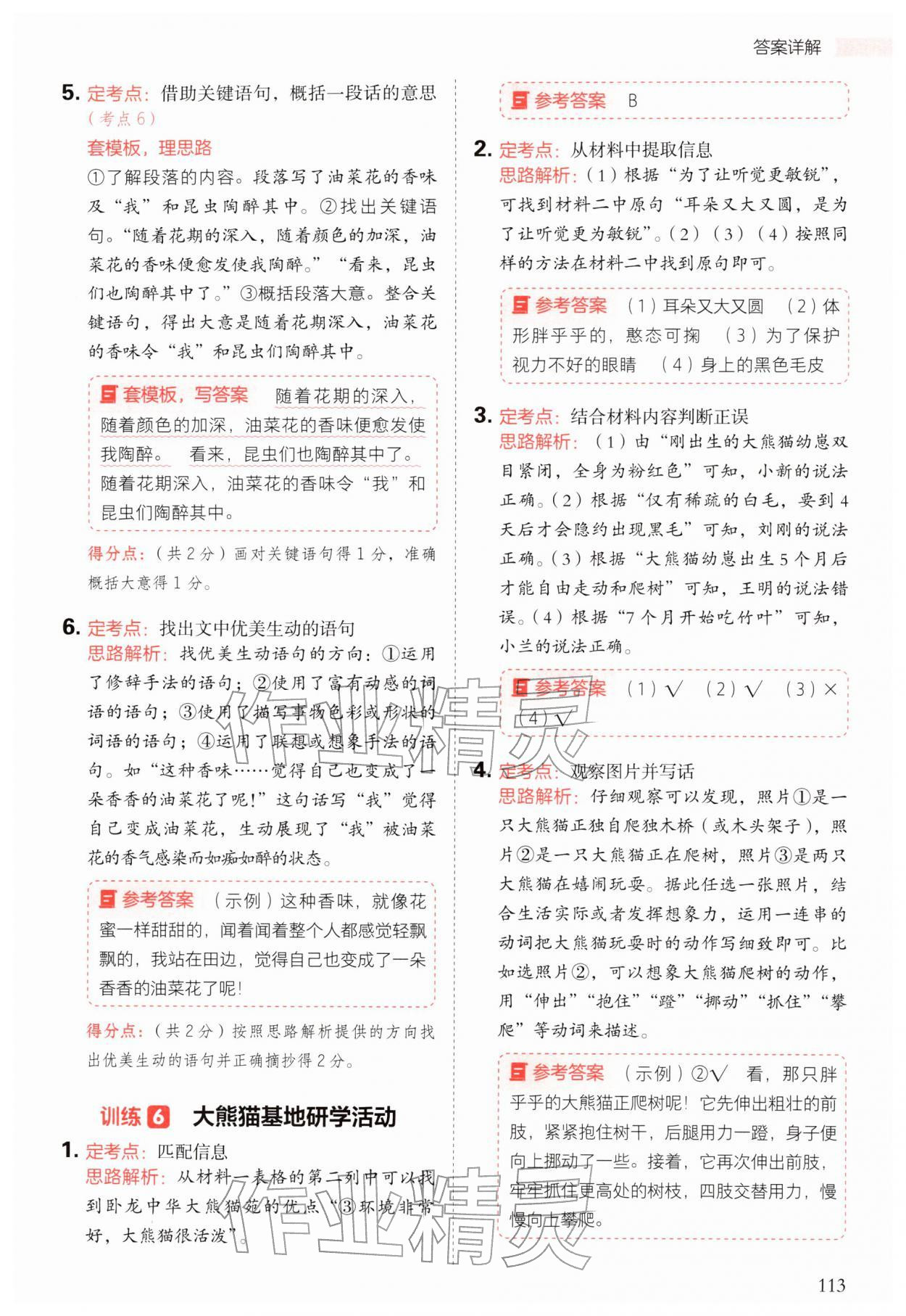 2026年阅读理解与答题模板三年级语文下册人教版&nbsp;第5页