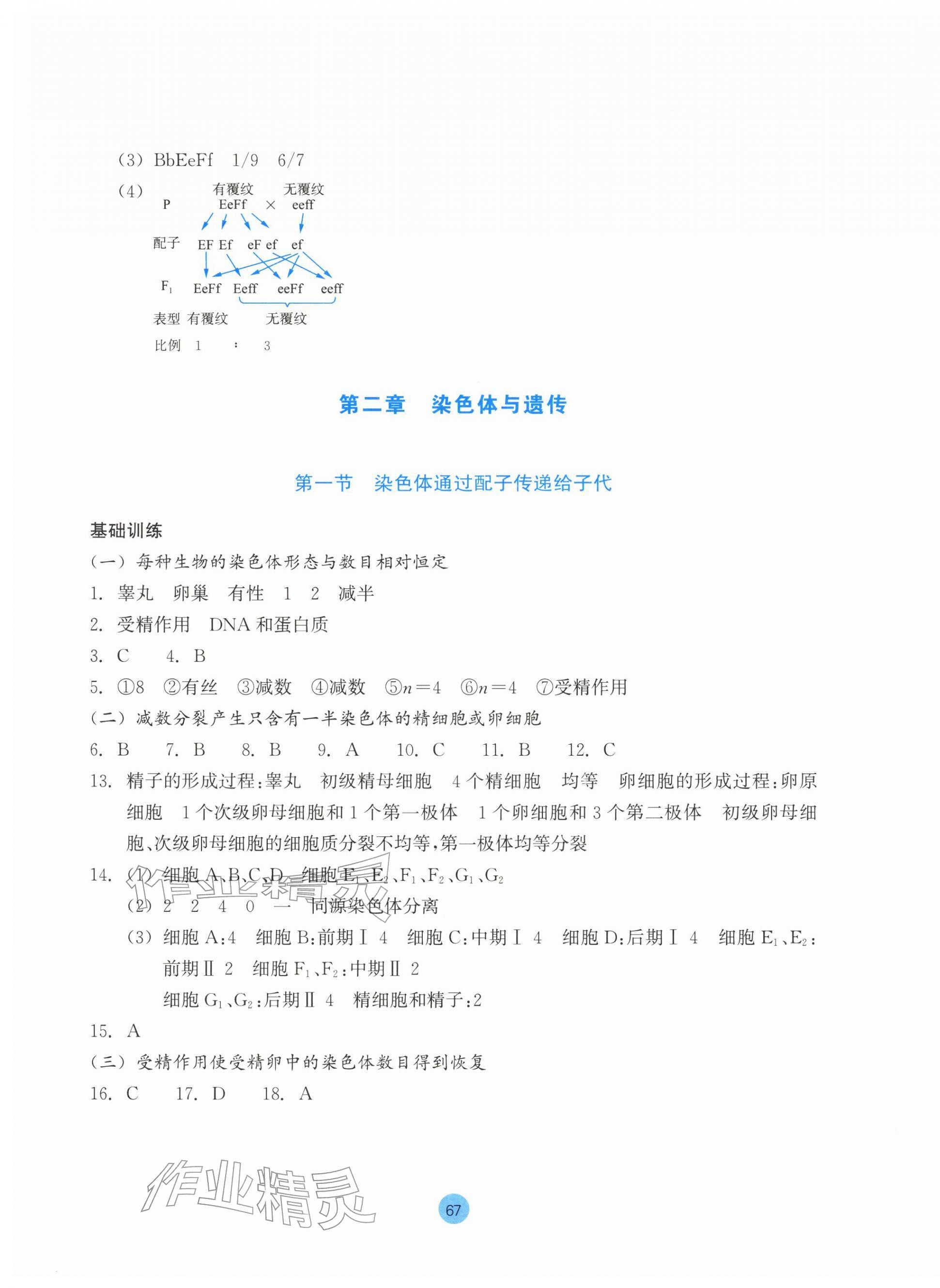 2026年作业本浙江教育出版社高中生物必修2双色版浙科版&nbsp;参考答案第3页