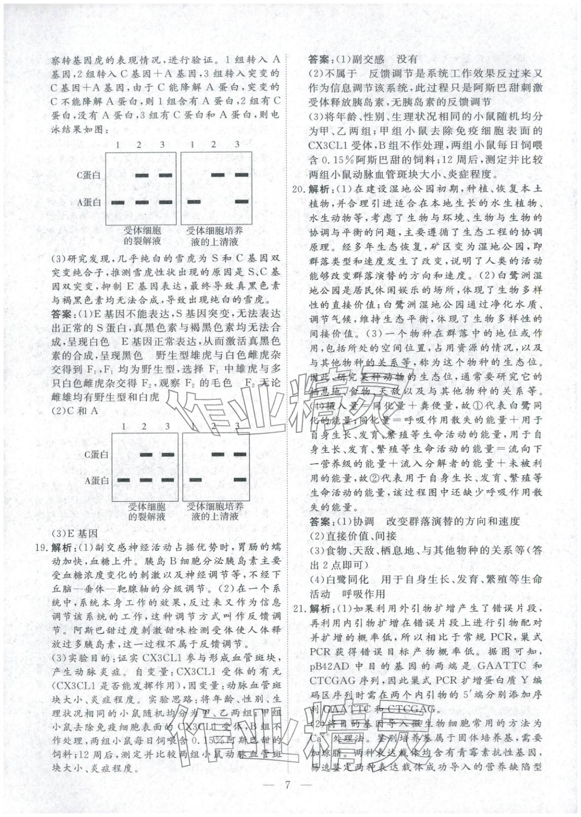 2026年金牌考卷高中生物&nbsp;第7页
