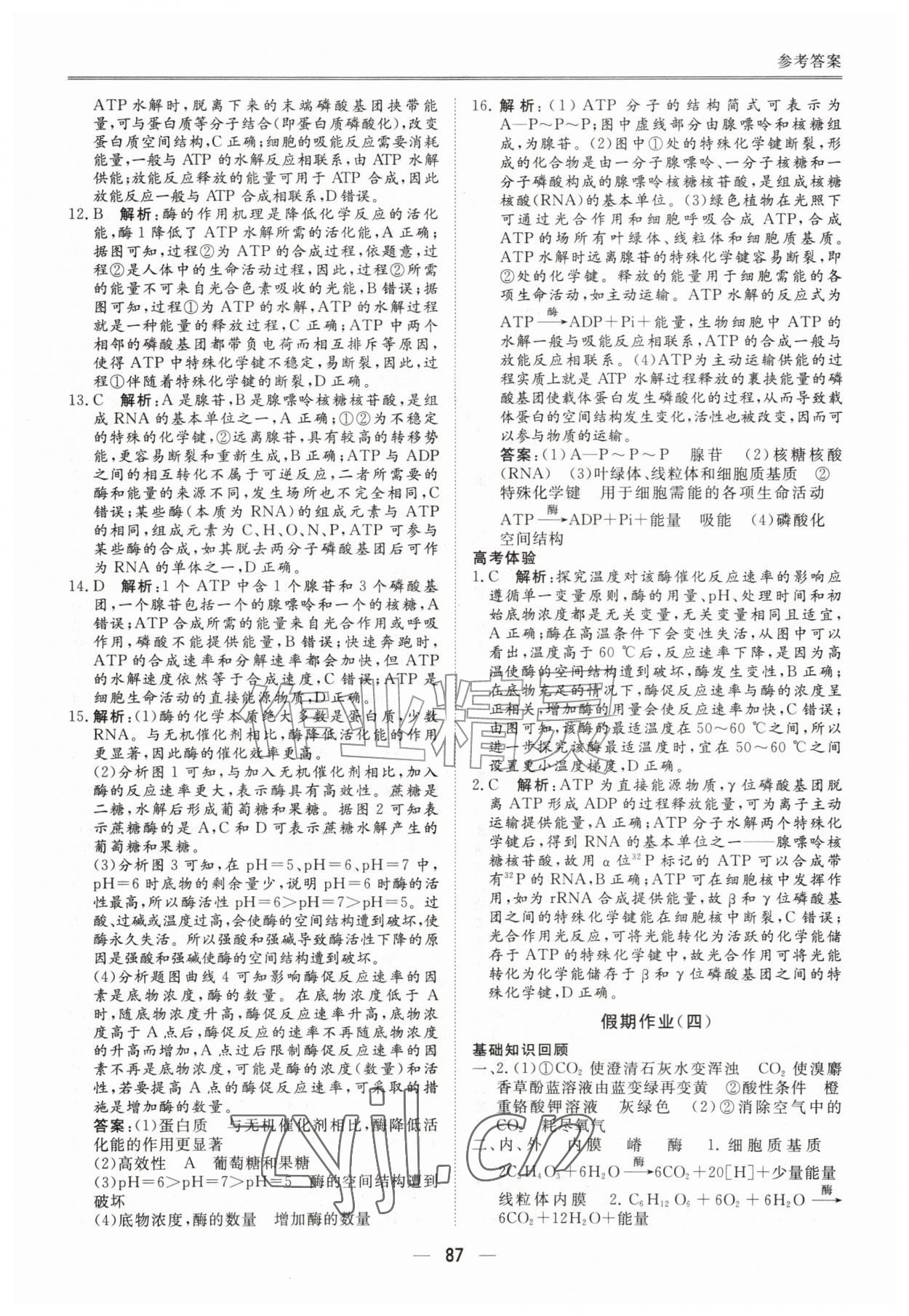2026年完美假期暑假自主学习训练高一生物&nbsp;第7页