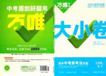 2024年萬(wàn)唯中考大小卷九年級(jí)語(yǔ)文全一冊(cè)人教版