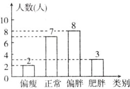 五偏瘦正常偏胖肥胖类别