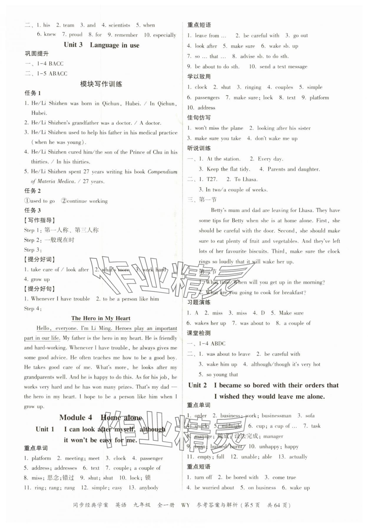 2025年同步经典学案九年级英语全一册外研版&nbsp;第5页
