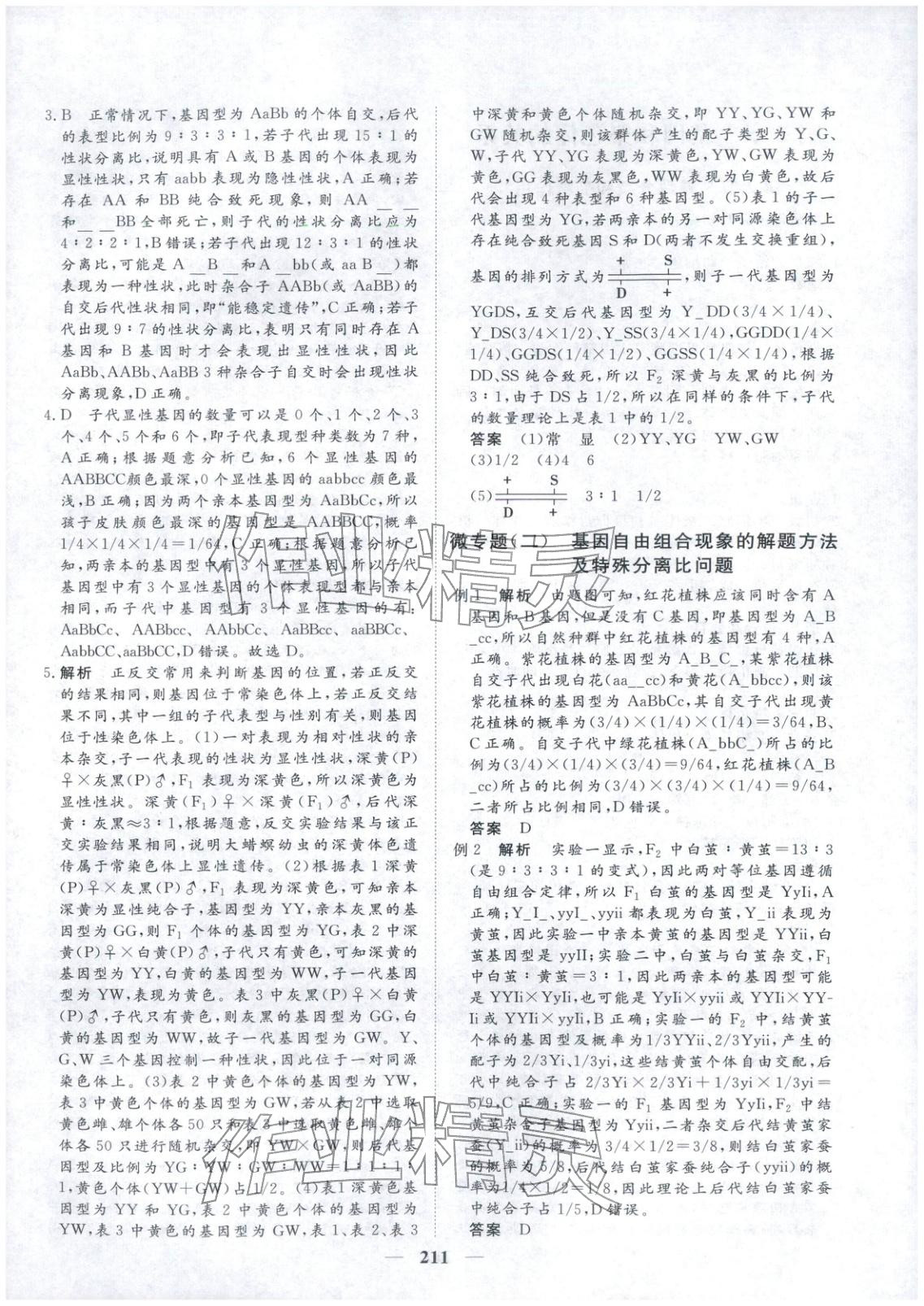 2025年维课金版高中生物必修第二册&nbsp;第6页