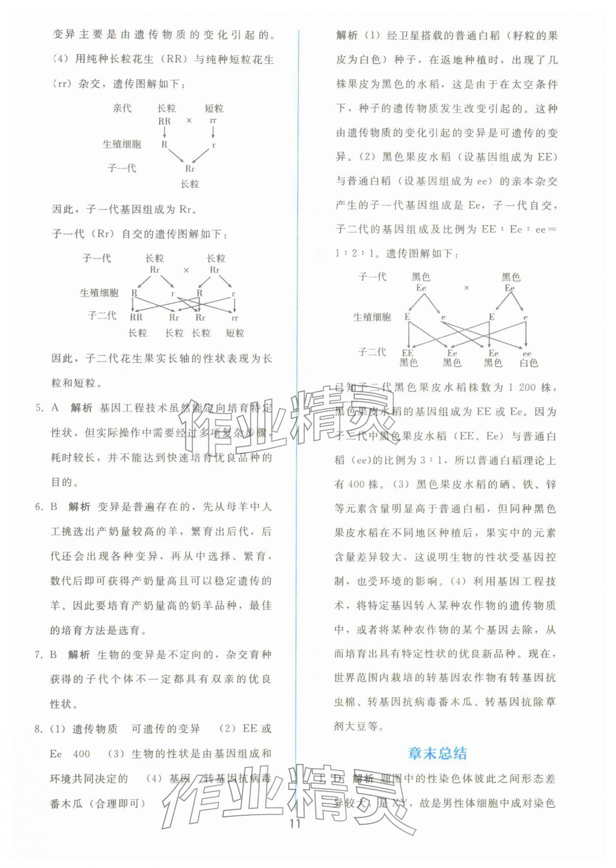 2026年同步轻松练习八年级生物下册人教版&nbsp;参考答案第10页