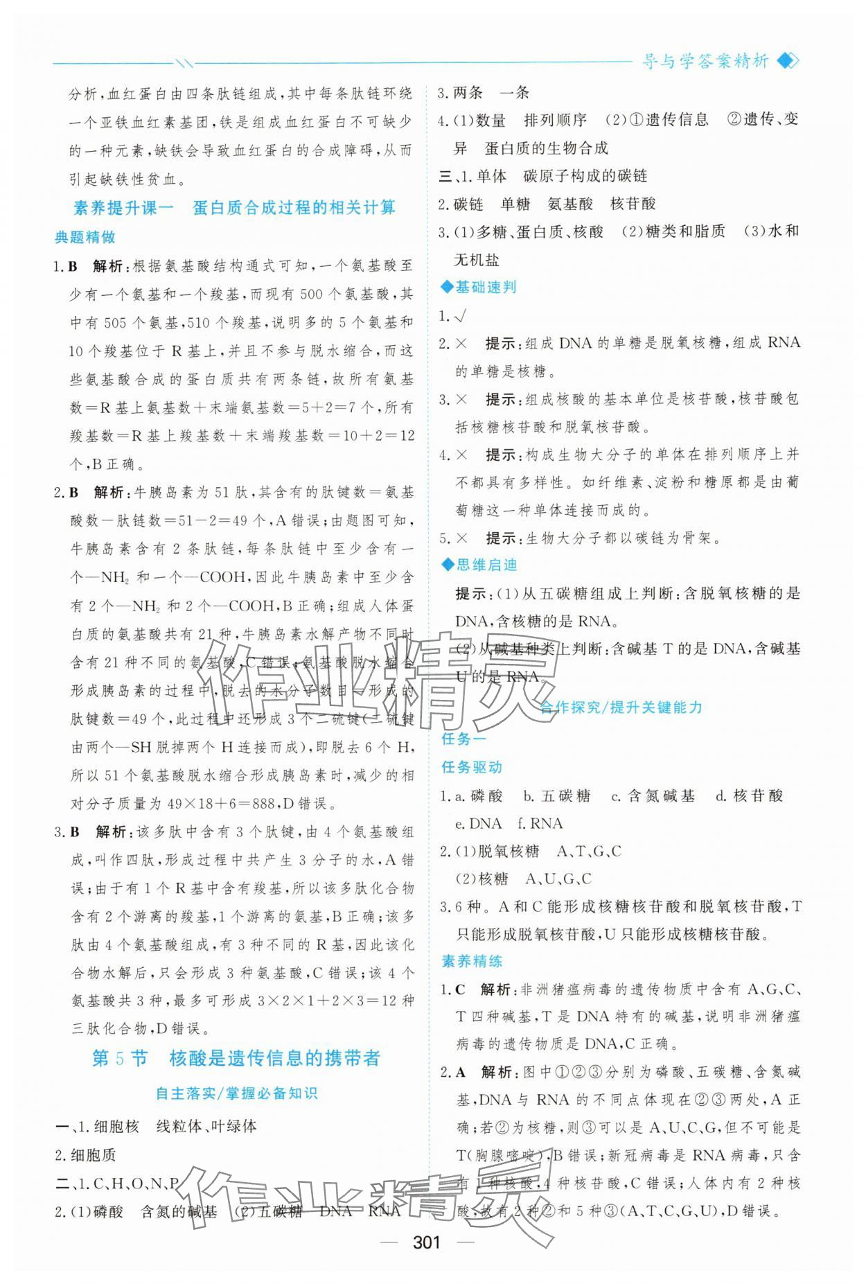 2025年新课程学习与测评高中生物必修1人教版&nbsp;参考答案第12页