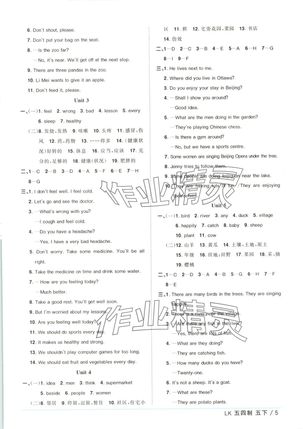 2025年阳光同学课时优化作业五年级英语下册鲁科版五四制&nbsp;第5页