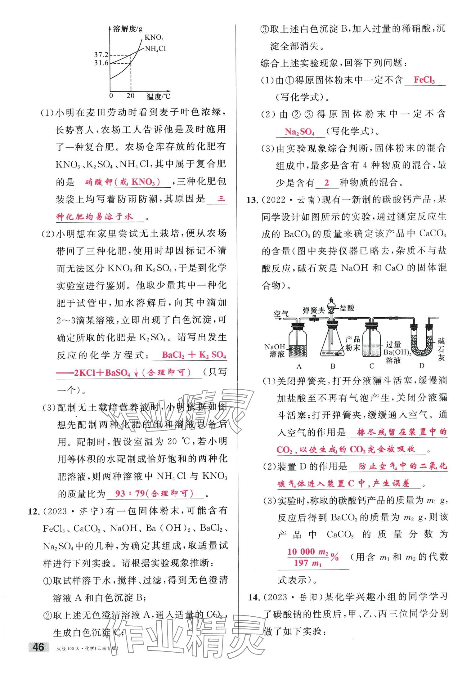 2024年火线100天化学中考云南专版&nbsp;第46页