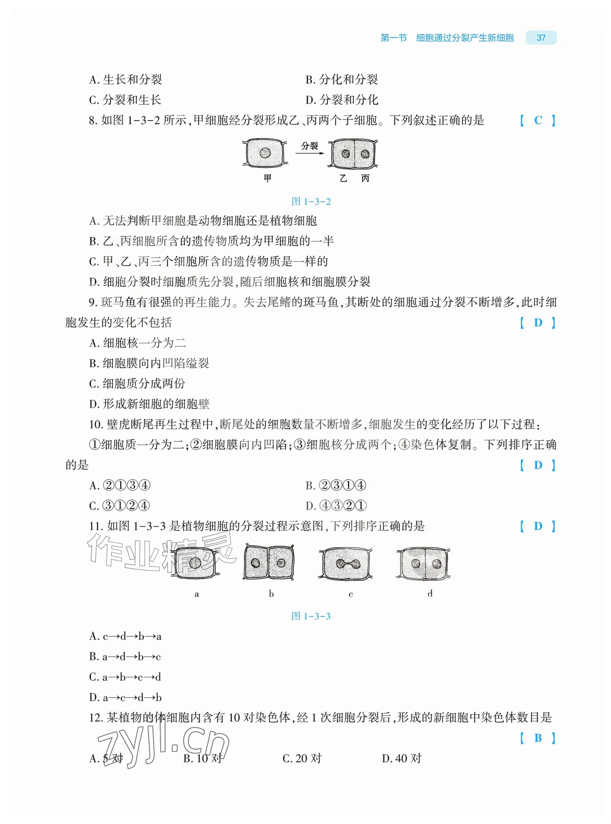2026年基础训练大象出版社七年级生物上册人教版&nbsp;参考答案第37页