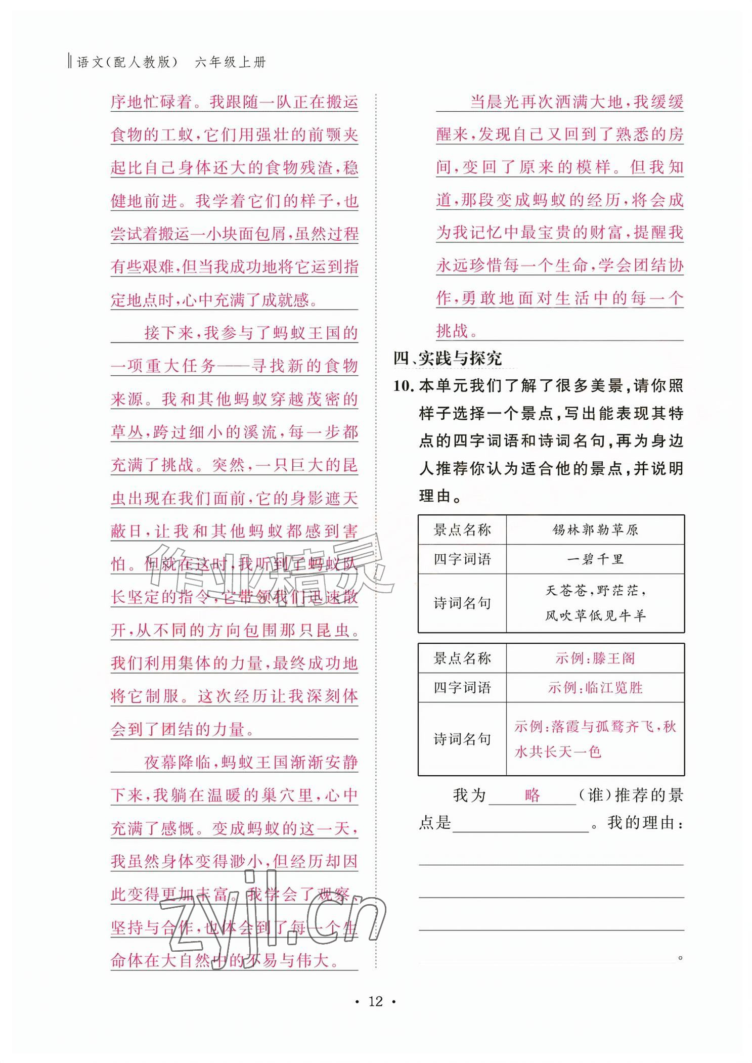 2026年作业本江西教育出版社六年级语文上册人教版&nbsp;参考答案第12页