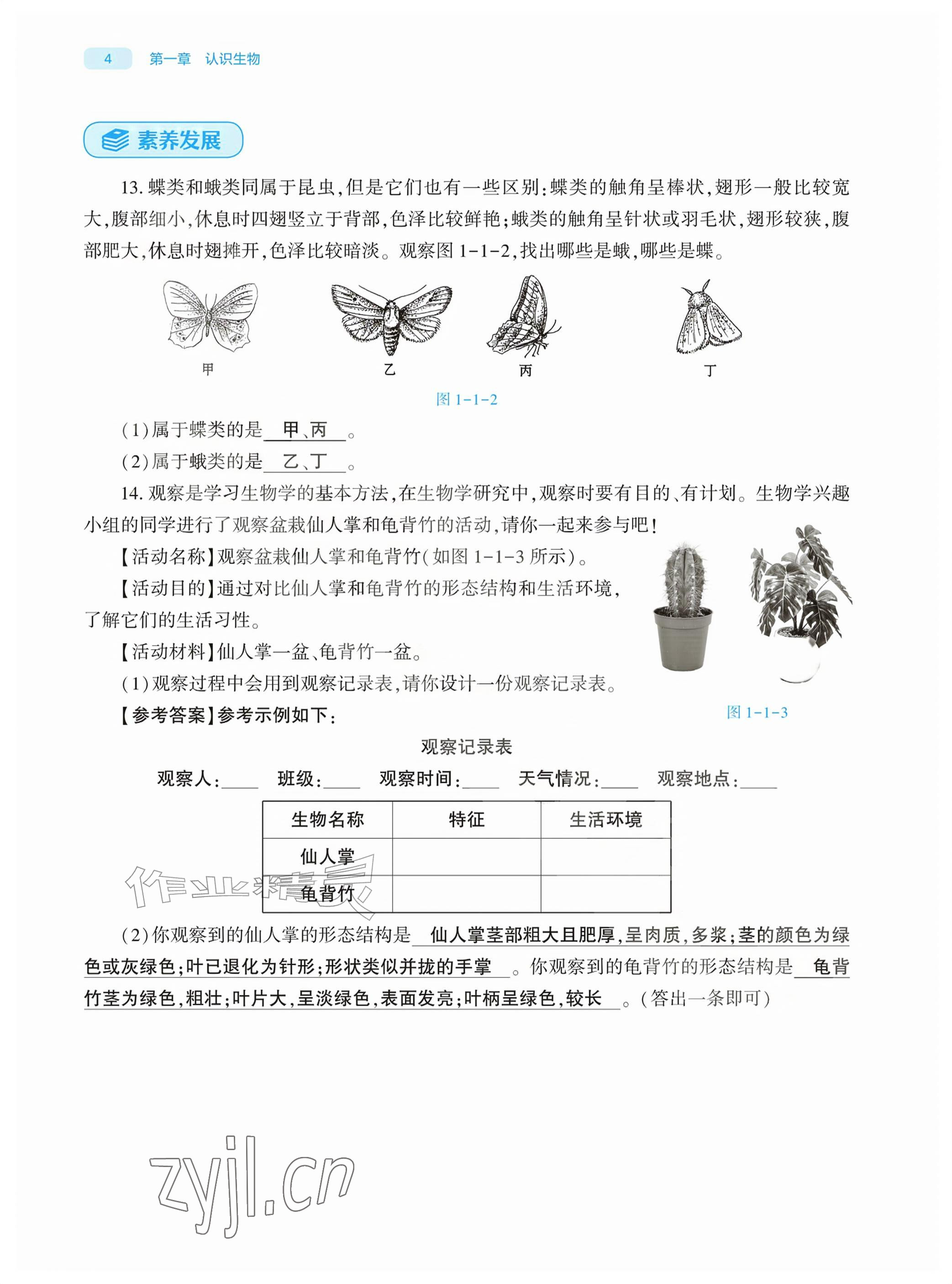 2026年基础训练大象出版社七年级生物上册人教版&nbsp;参考答案第4页