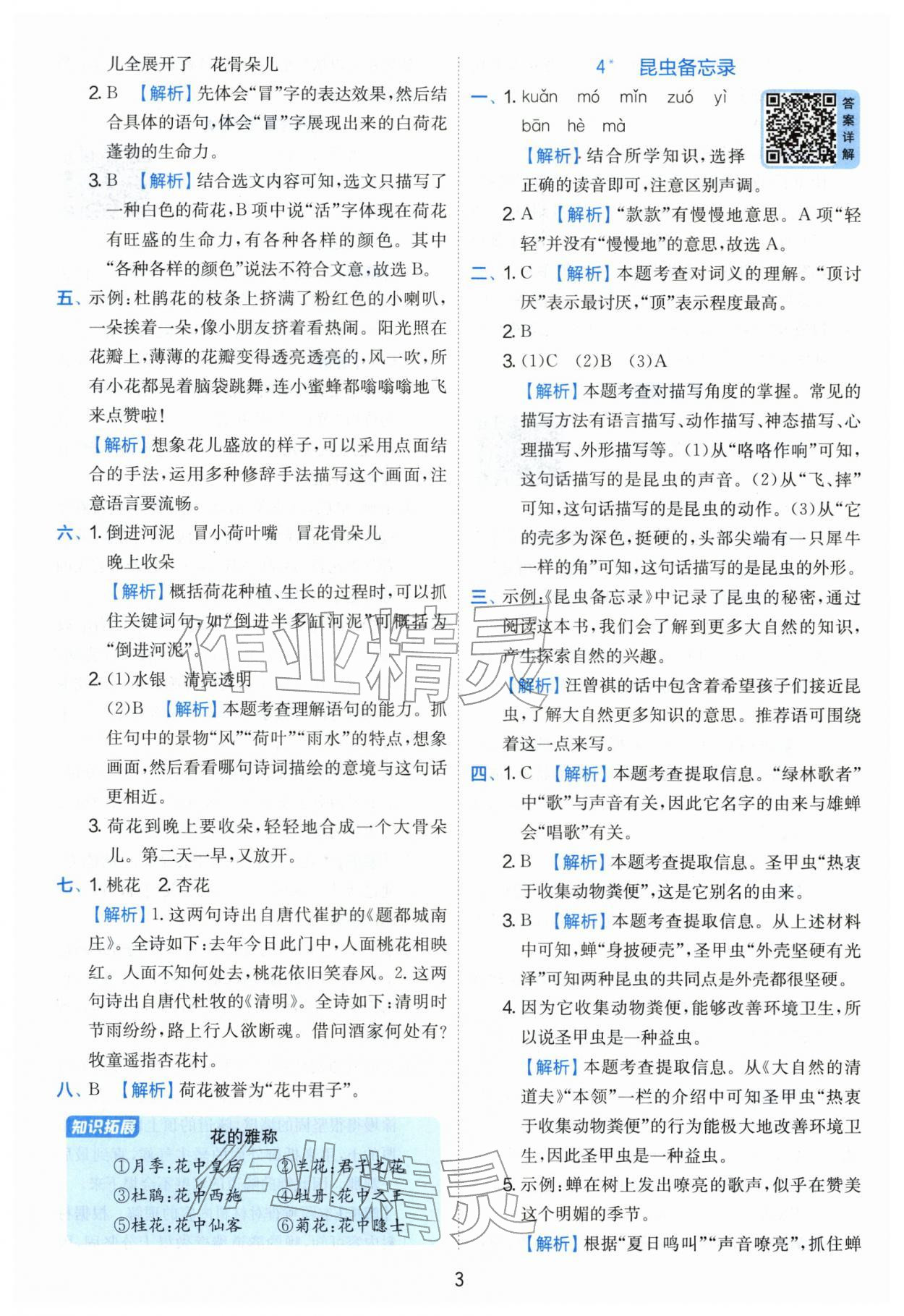 2026年实验班提优训练三年级语文下册人教版&nbsp;第3页
