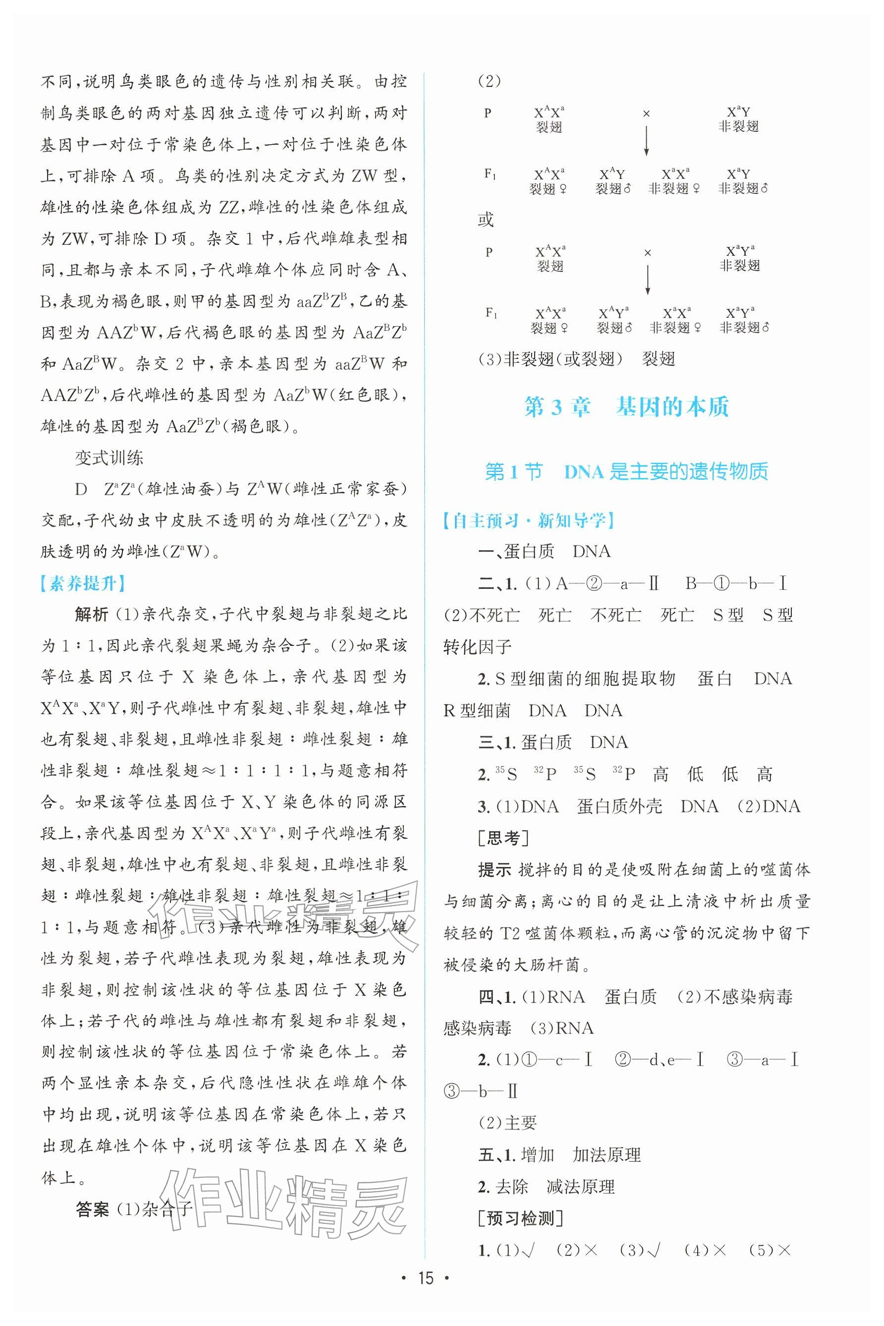 2026年高中同步测控优化设计高中生物必修第二册人教版增强版&nbsp;参考答案第14页