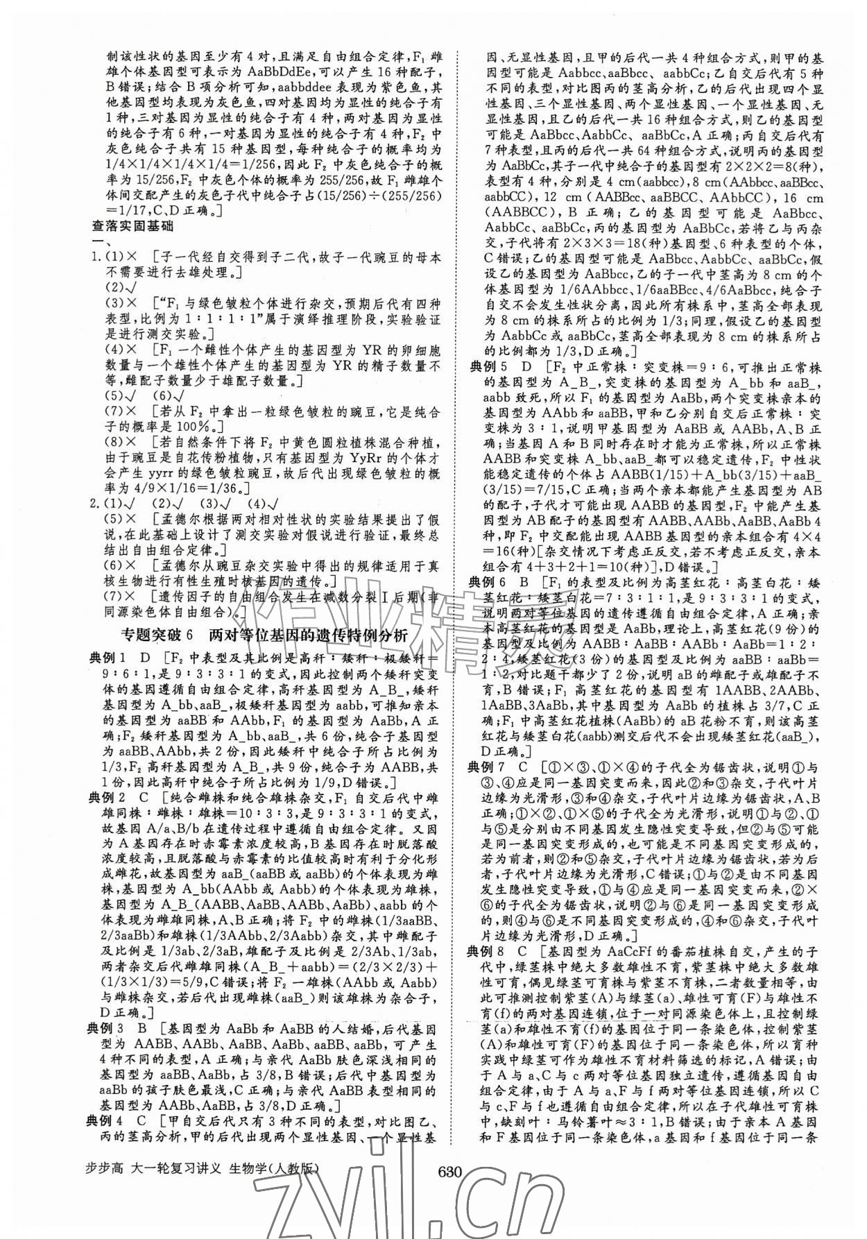 2026年步步高大一轮复习讲义高中生物人教版&nbsp;第22页