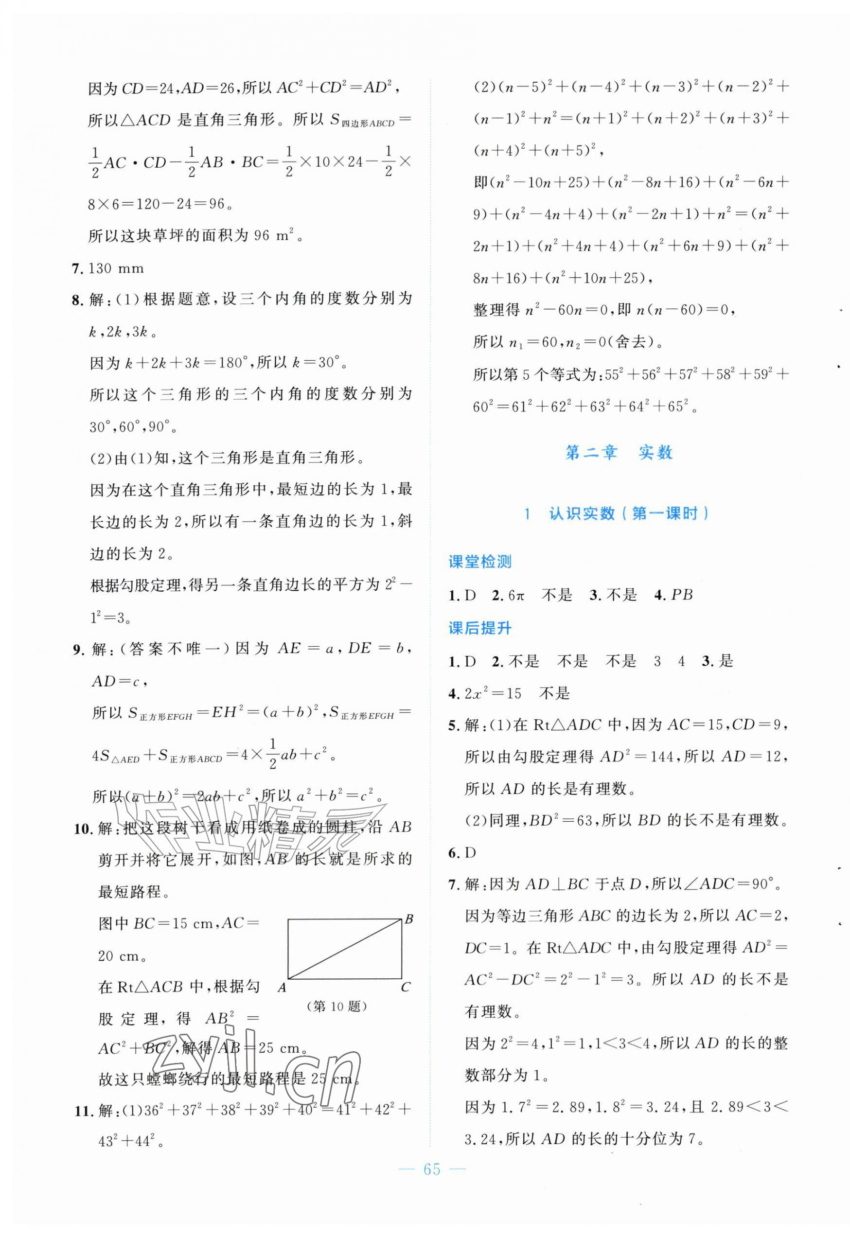 2026年伴你学北京师范大学出版社八年级数学上册北师大版&nbsp;第5页