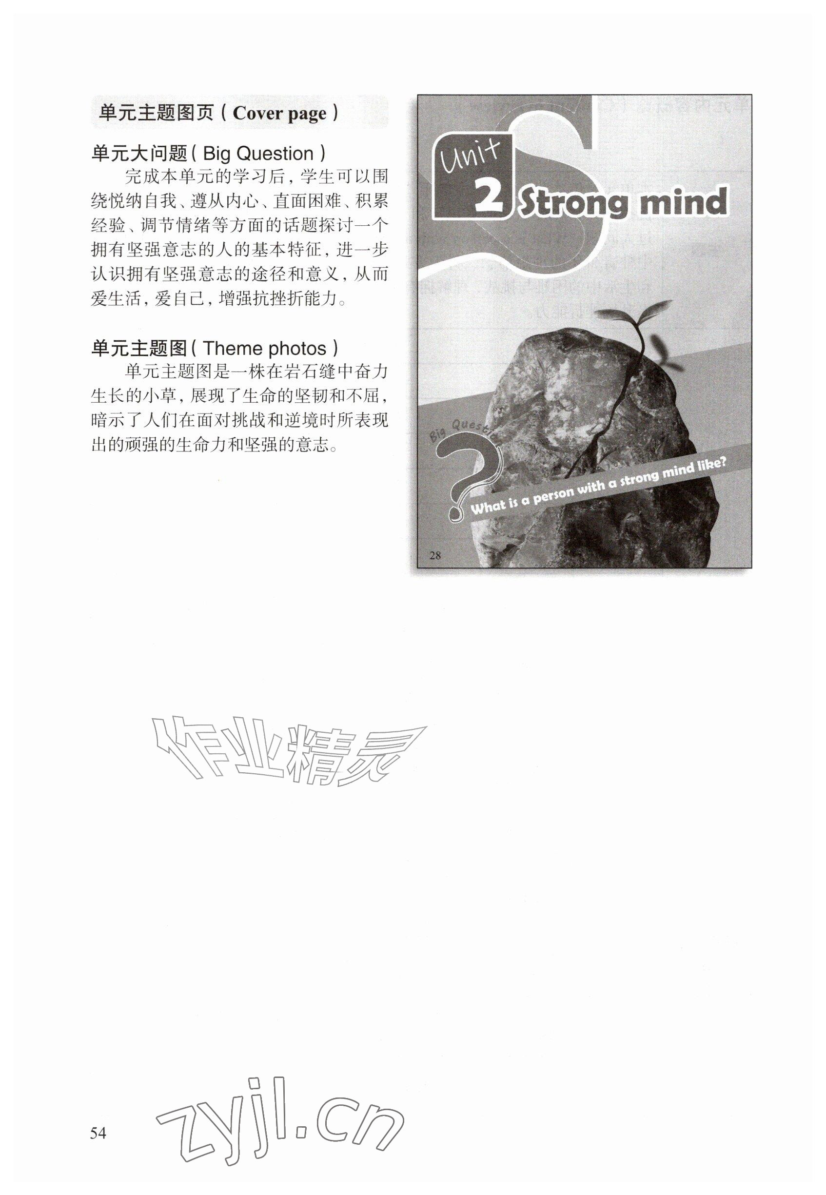 2026年教材课本七年级英语上册沪教版五四制&nbsp;参考答案第54页