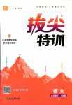 2024年拔尖特訓(xùn)九年級(jí)語文下冊(cè)人教版