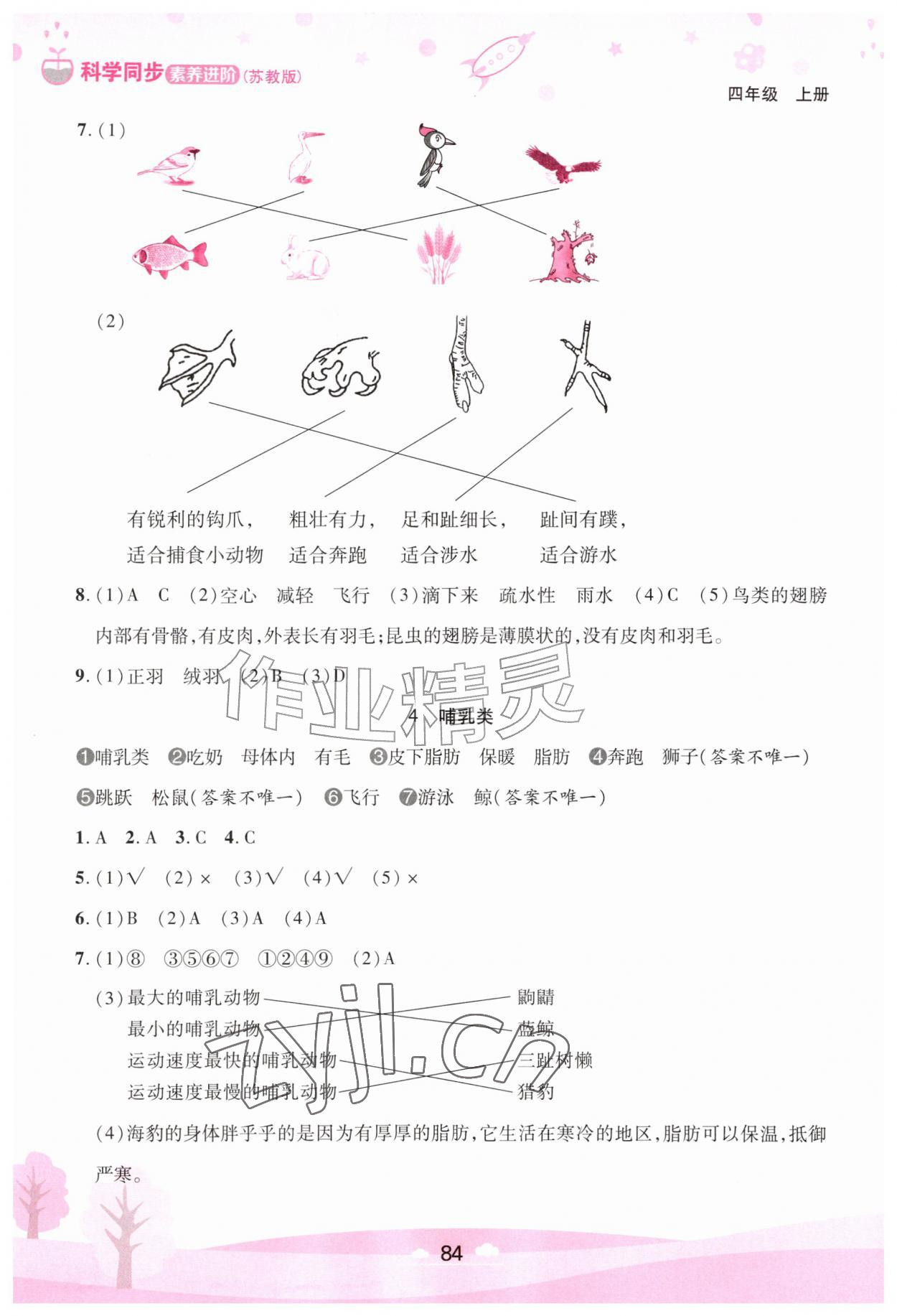 2026年同步素养进阶四年级科学上册苏教版&nbsp;第2页