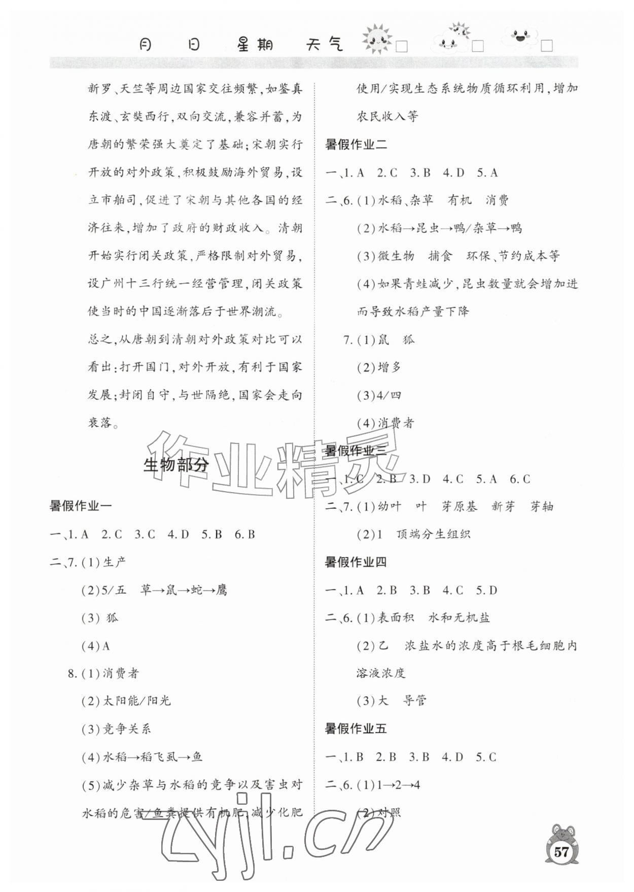 2026年暑假作业河南人民出版社七年级合订本&nbsp;第3页
