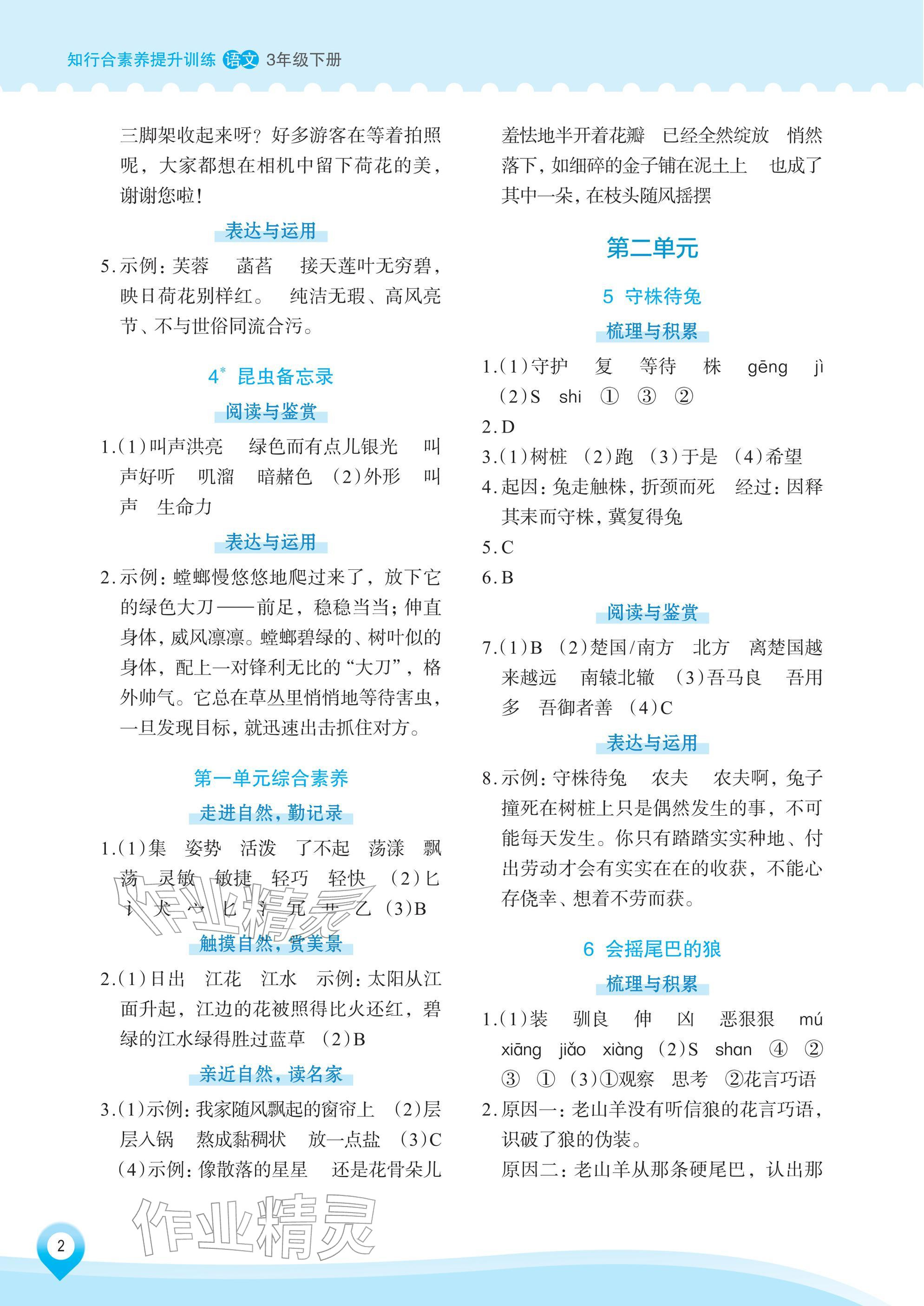 2026年知行合素养提升训练三年级语文下册人教版&nbsp;参考答案第2页