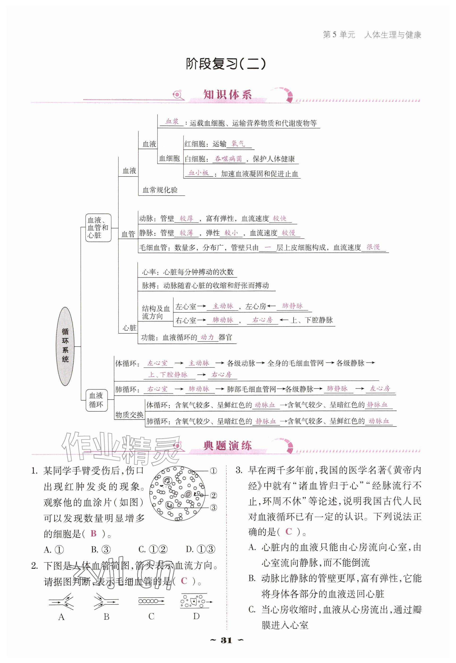 2026年优佳学案（云南）八年级生物上册苏教版&nbsp;参考答案第31页