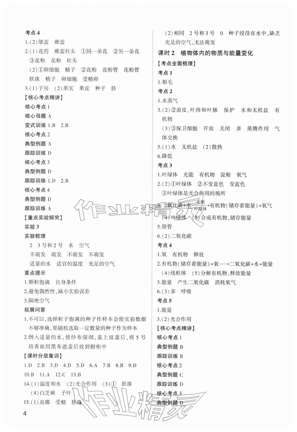 2026年中考总复习山东科学技术出版社生物&nbsp;参考答案第4页