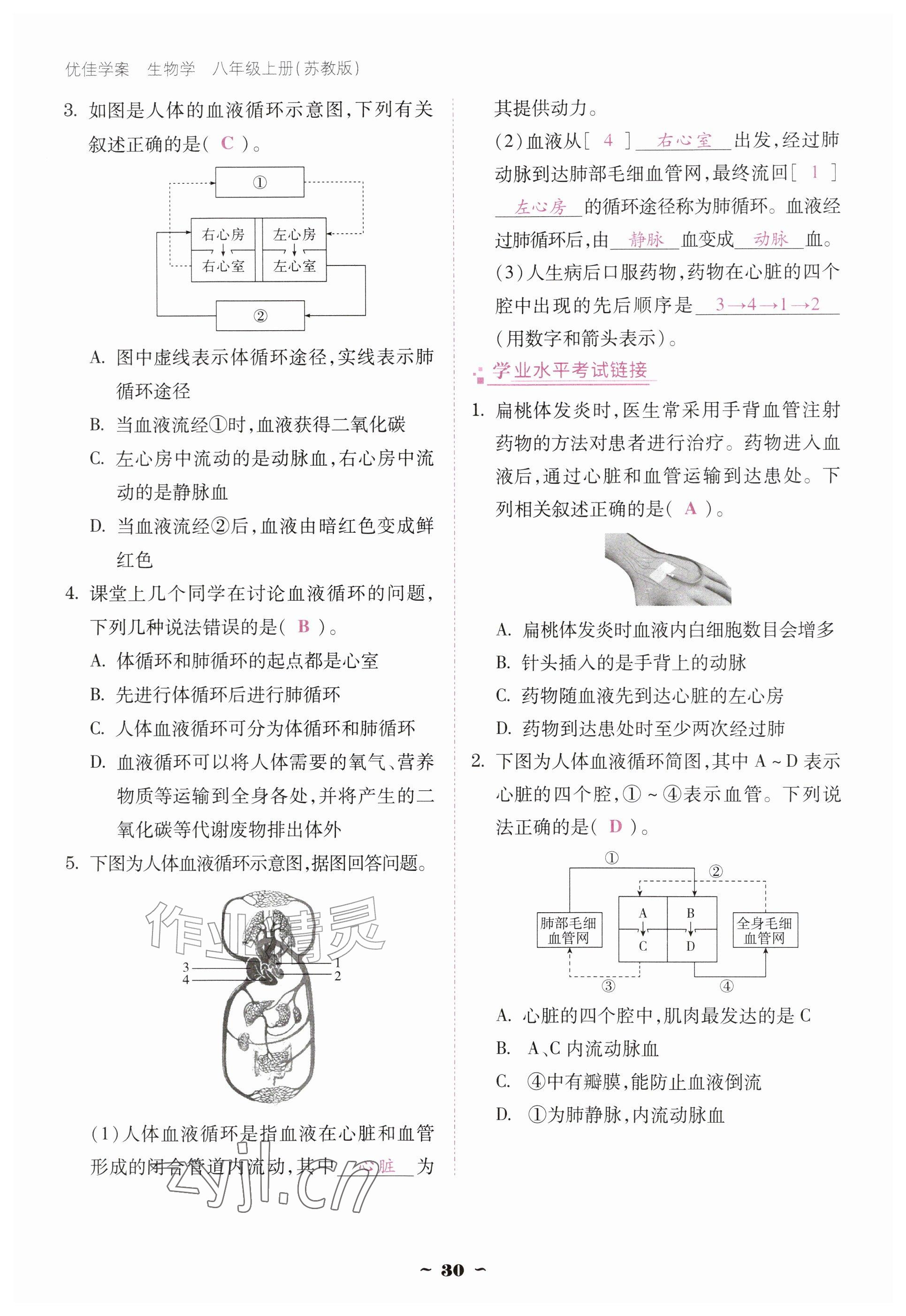 2026年优佳学案（云南）八年级生物上册苏教版&nbsp;参考答案第30页