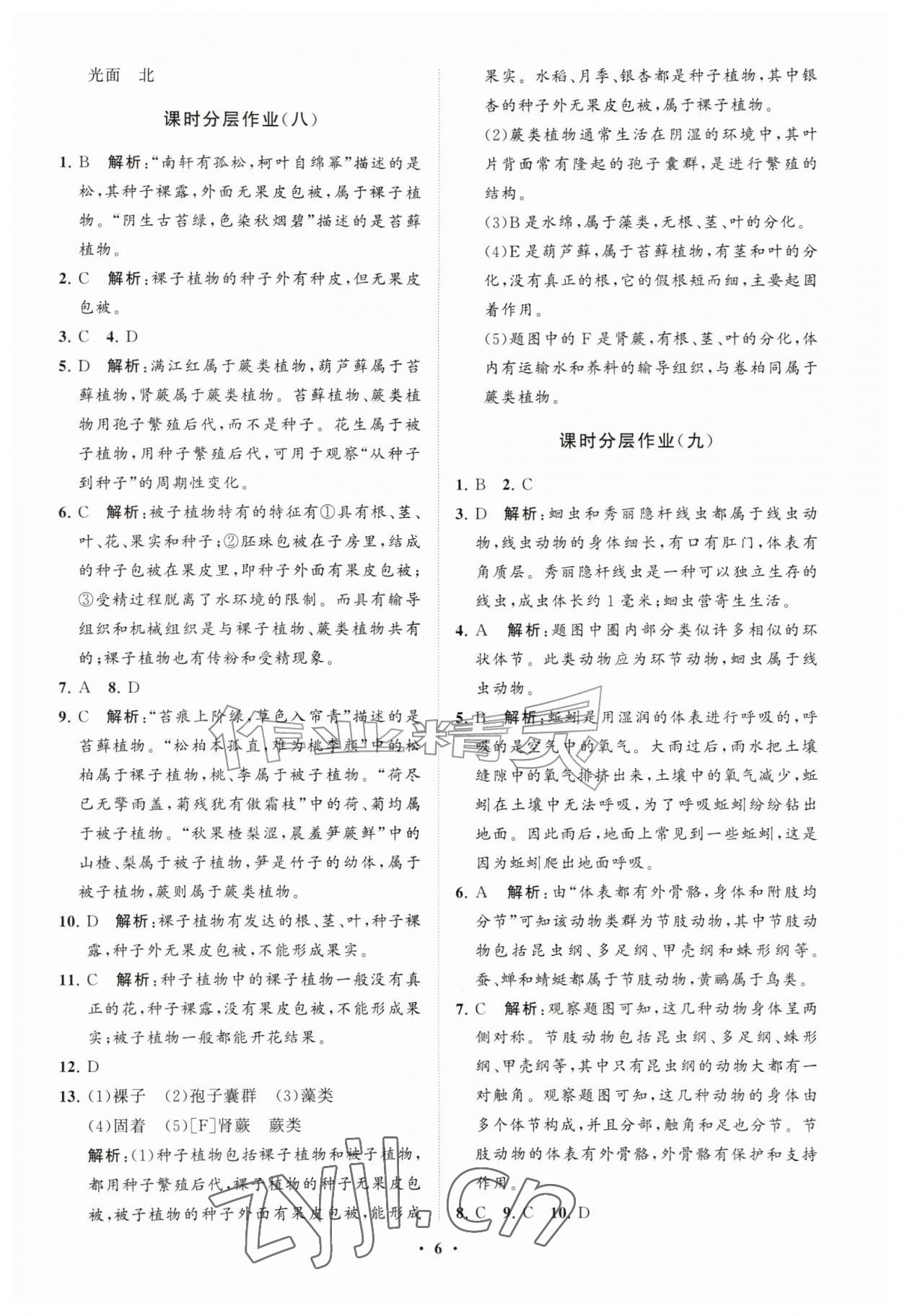2026年同步练习册分层拓展七年级生物上册济南版&nbsp;参考答案第6页
