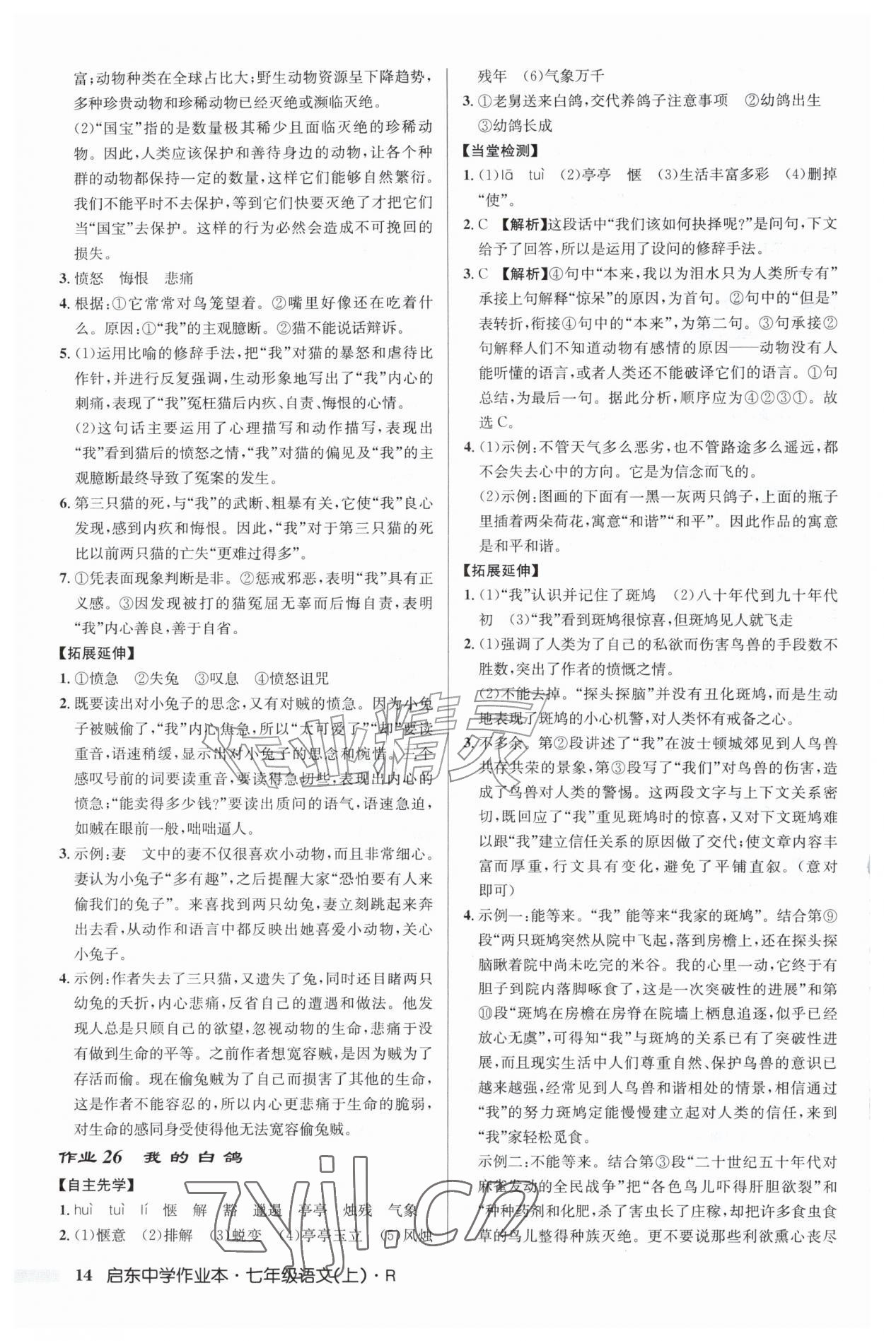 2026年启东中学作业本七年级语文上册人教版&nbsp;第14页