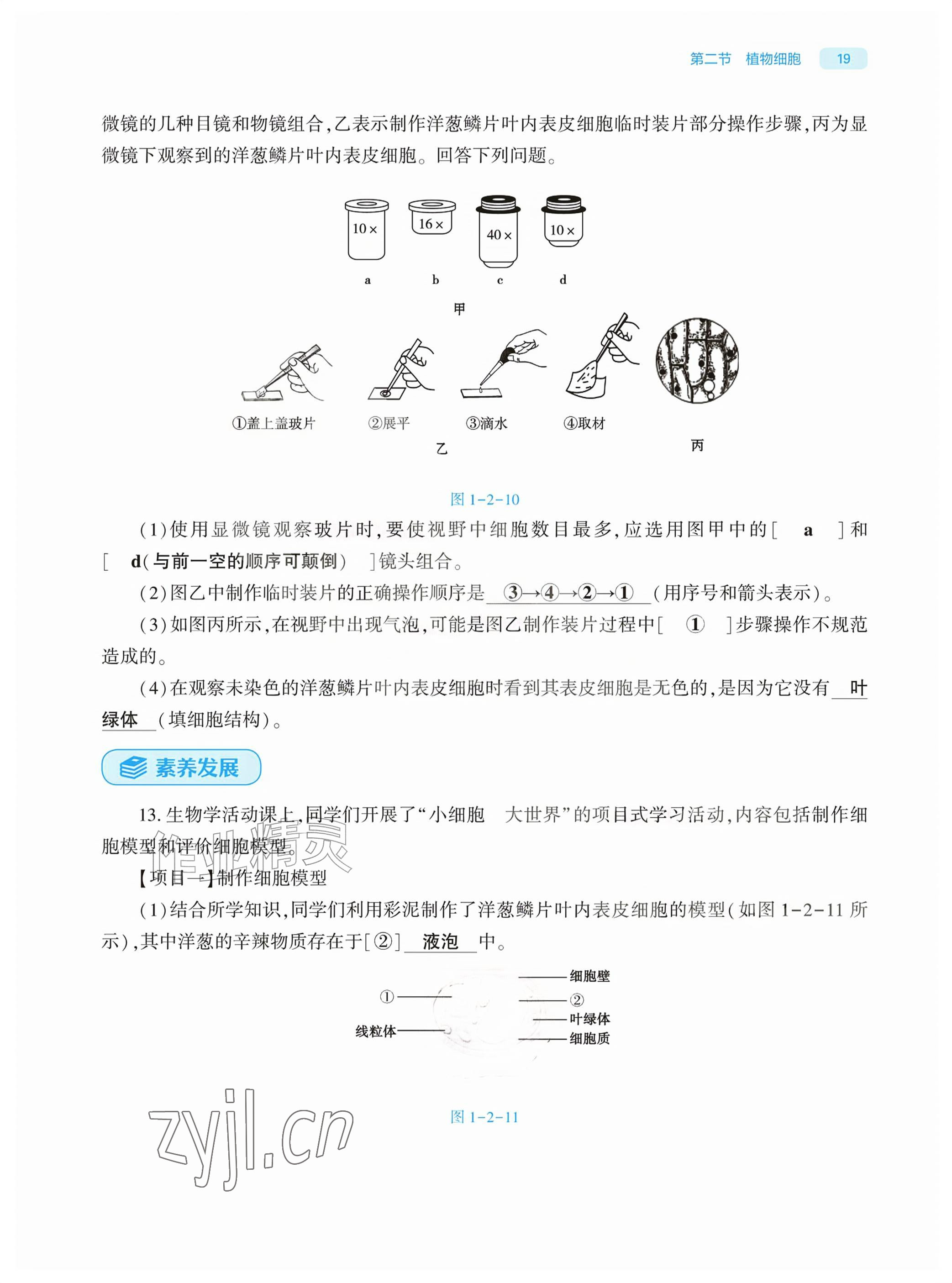 2026年基础训练大象出版社七年级生物上册人教版&nbsp;参考答案第19页