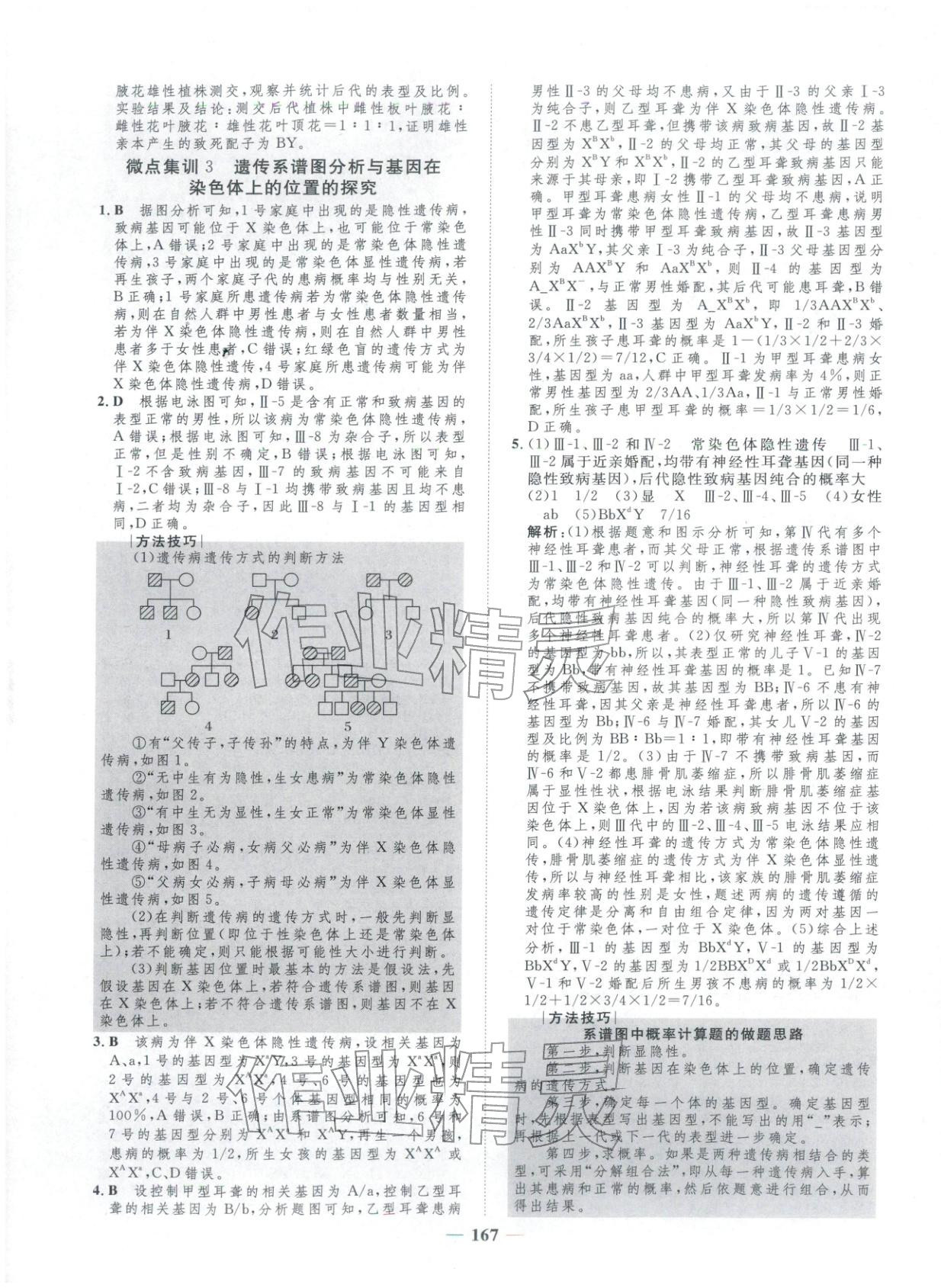 2025年三维设计学思用精练高中生物必修第二册&nbsp;第17页