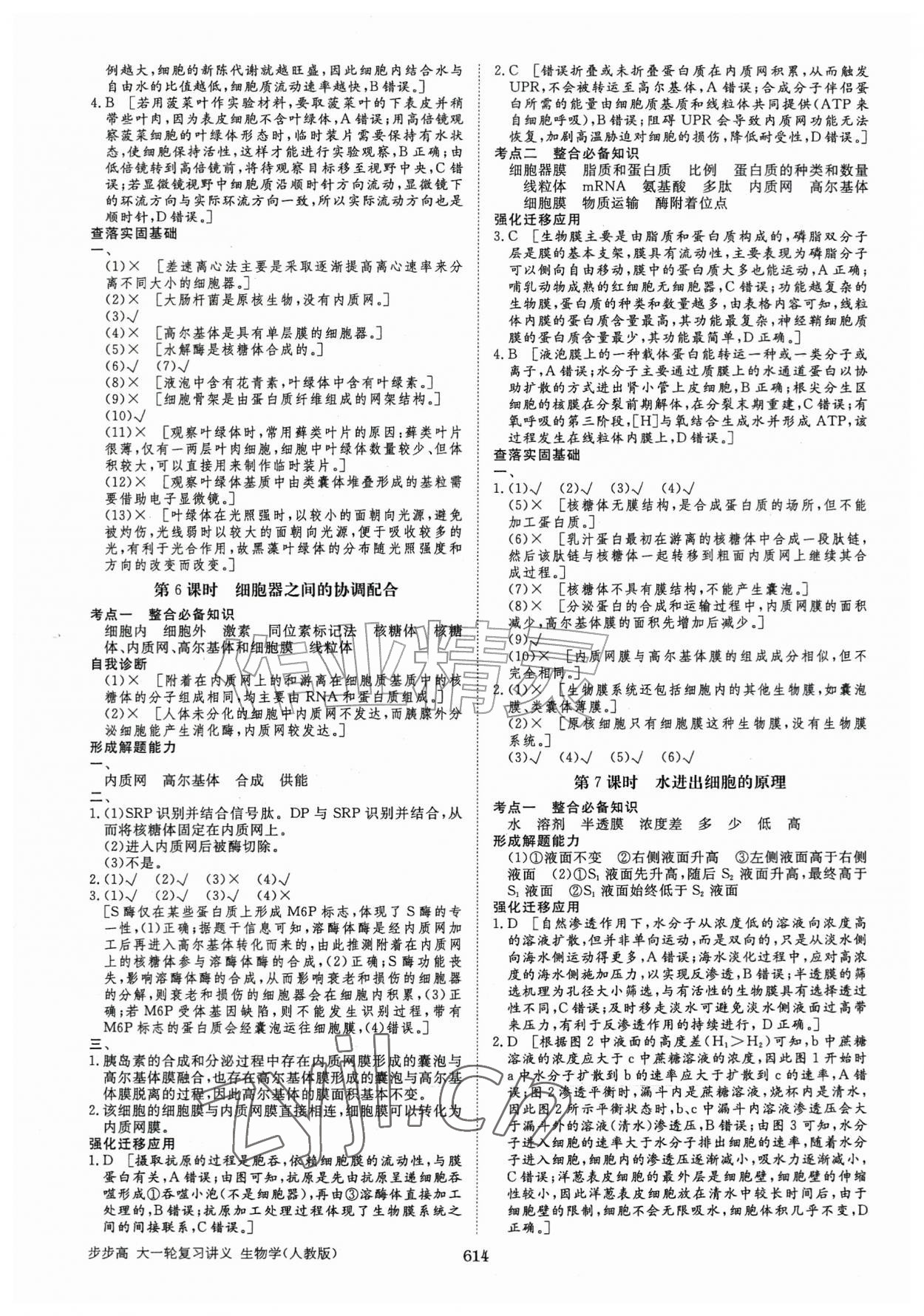 2026年步步高大一轮复习讲义高中生物人教版&nbsp;第6页