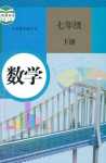 2024年教材課本七年級(jí)數(shù)學(xué)下冊(cè)人教版