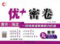 2024年優(yōu)加密卷九年級數(shù)學(xué)下冊人教版P版