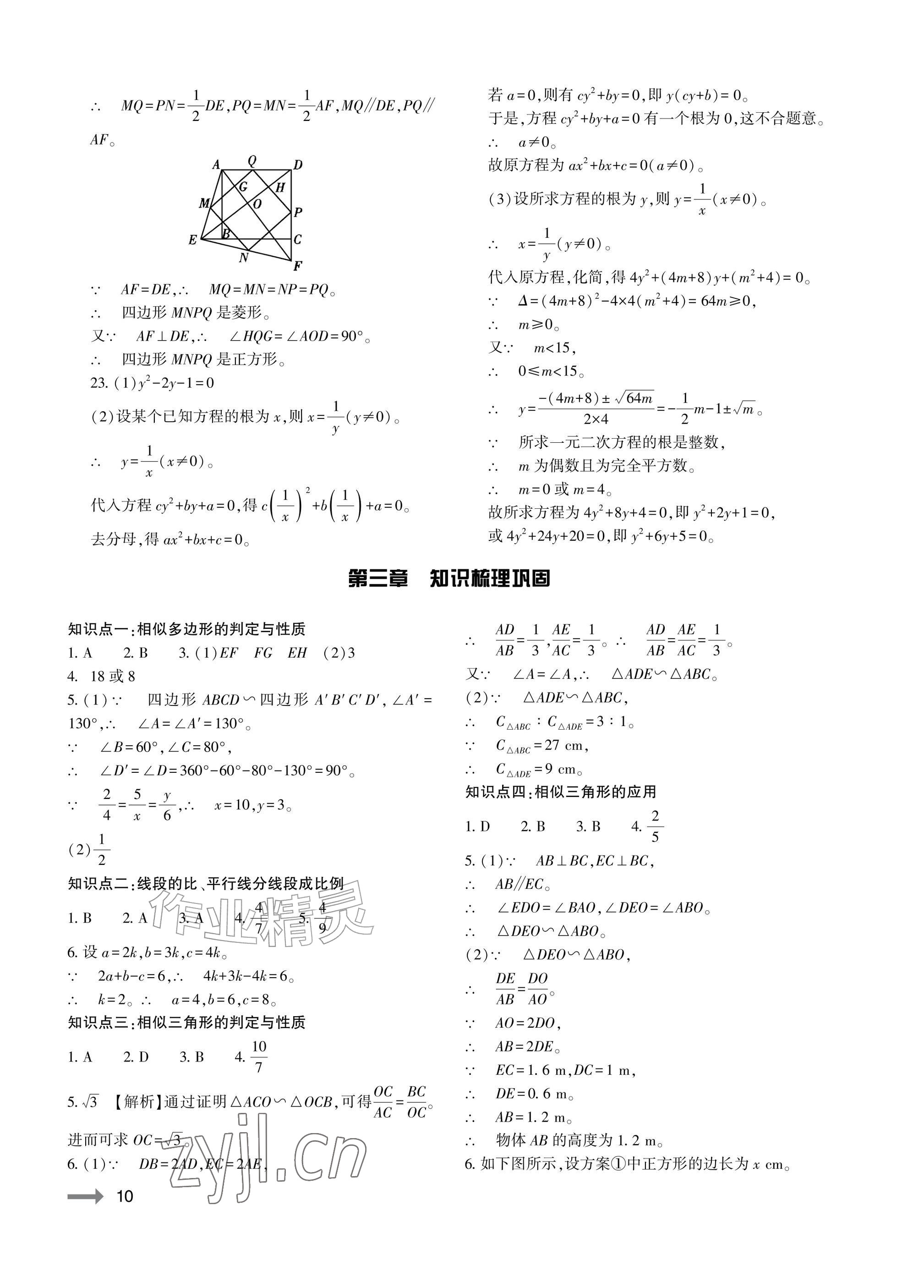 2026年节节高大象出版社九年级数学全一册北师大版&nbsp;参考答案第10页