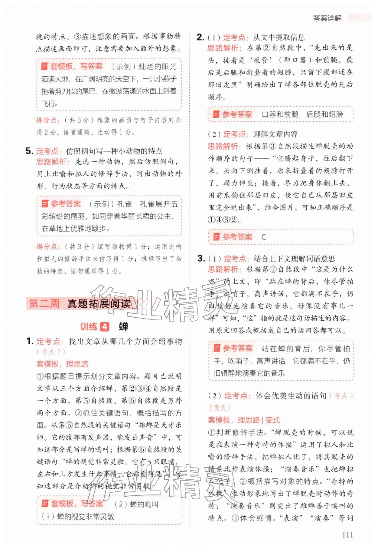 2026年阅读理解与答题模板三年级语文下册人教版&nbsp;第3页