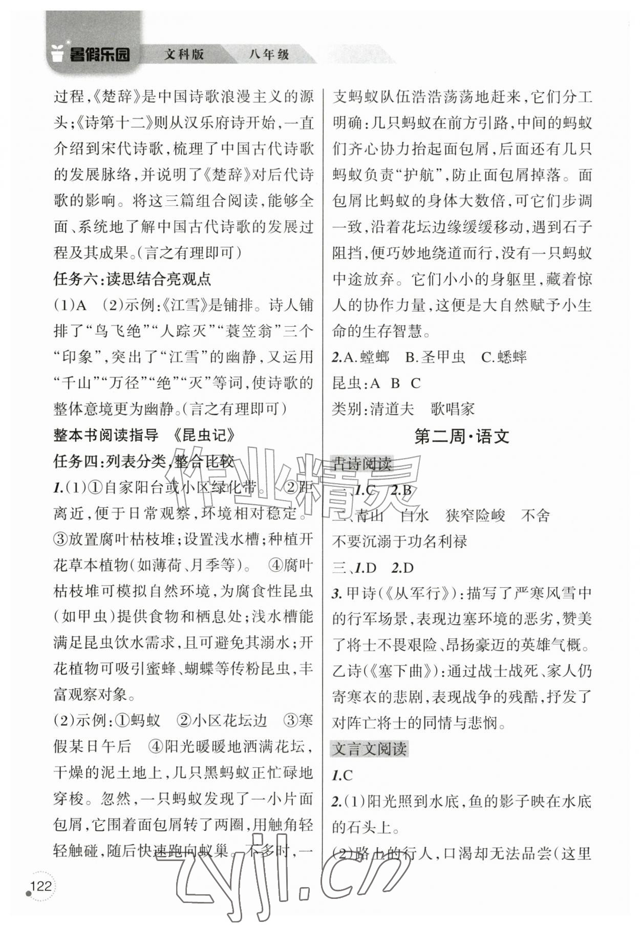 2026年暑假乐园辽宁师范大学出版社八年级文科版&nbsp;第2页