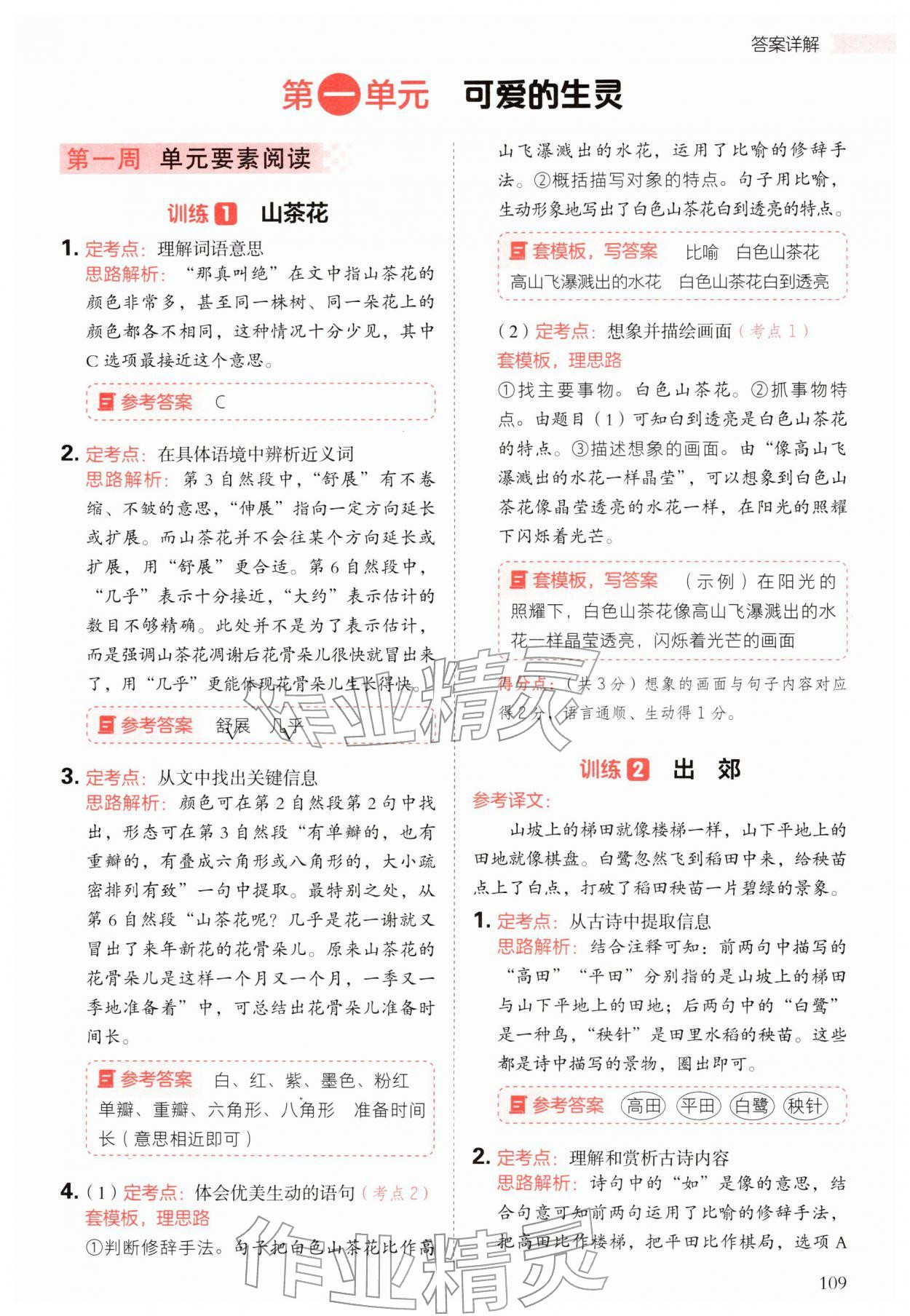 2026年阅读理解与答题模板三年级语文下册人教版&nbsp;第1页