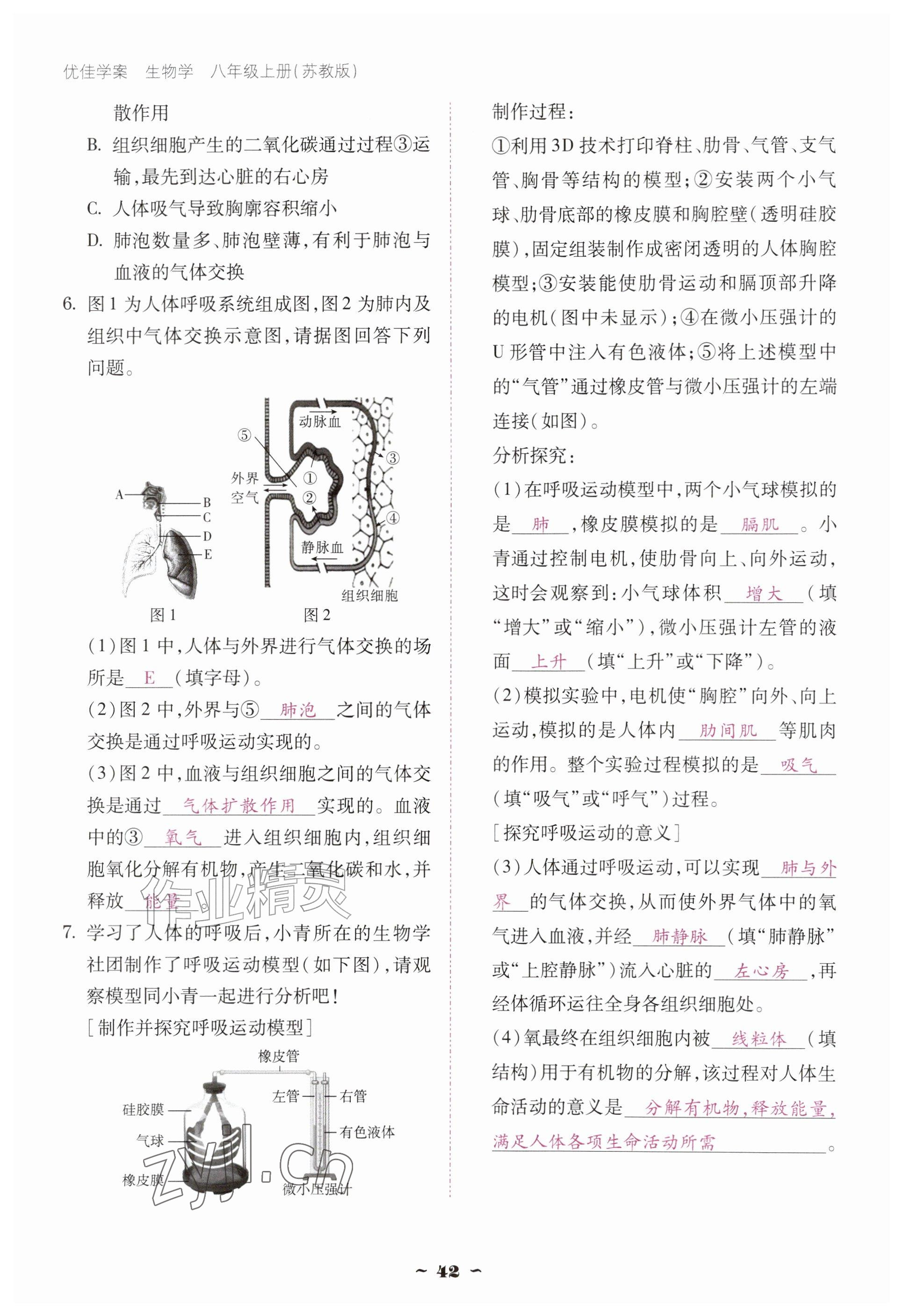 2026年优佳学案（云南）八年级生物上册苏教版&nbsp;参考答案第42页