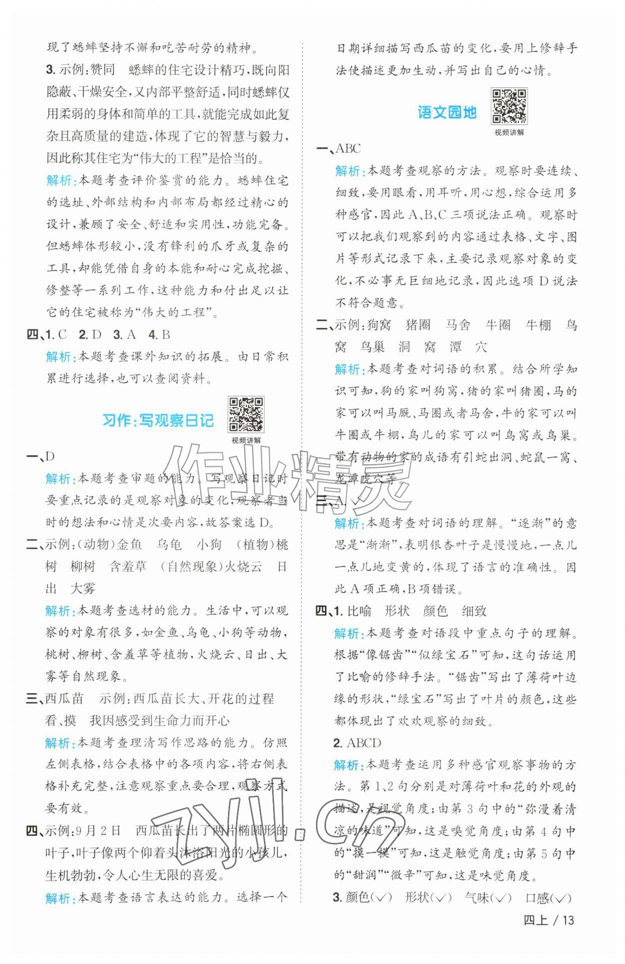 2026年阳光同学课时优化作业四年级语文上册人教版&nbsp;参考答案第13页