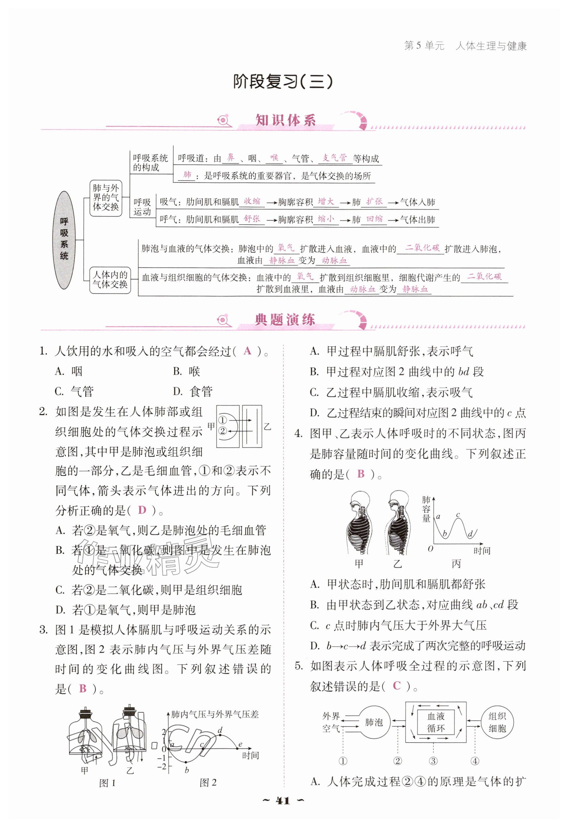 2026年优佳学案（云南）八年级生物上册苏教版&nbsp;参考答案第41页