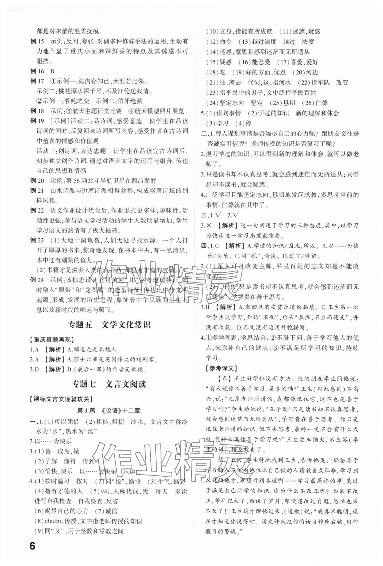 2025年智乐星中考命题研究语文中考重庆专版&nbsp;参考答案第5页