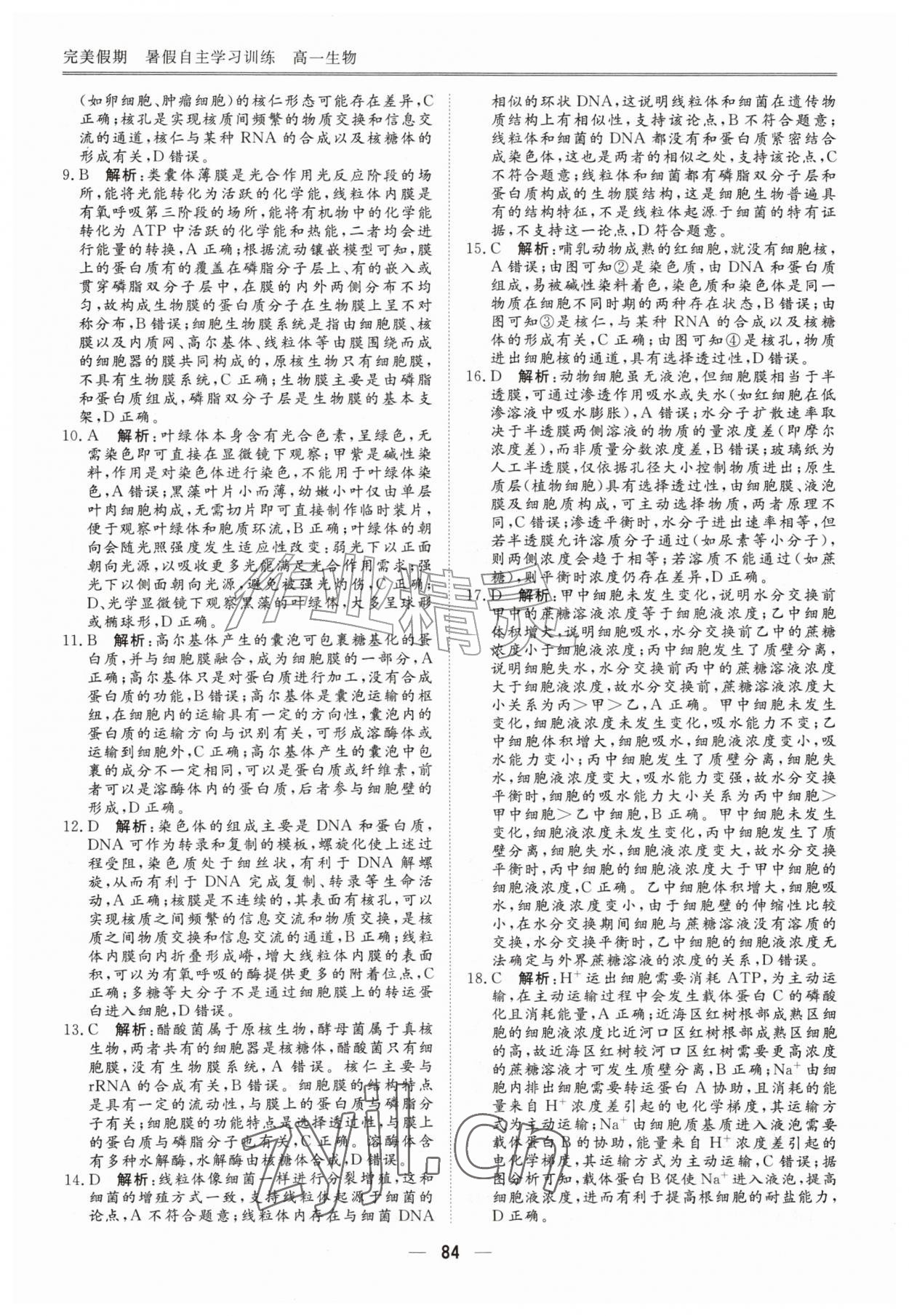 2026年完美假期暑假自主学习训练高一生物&nbsp;第4页