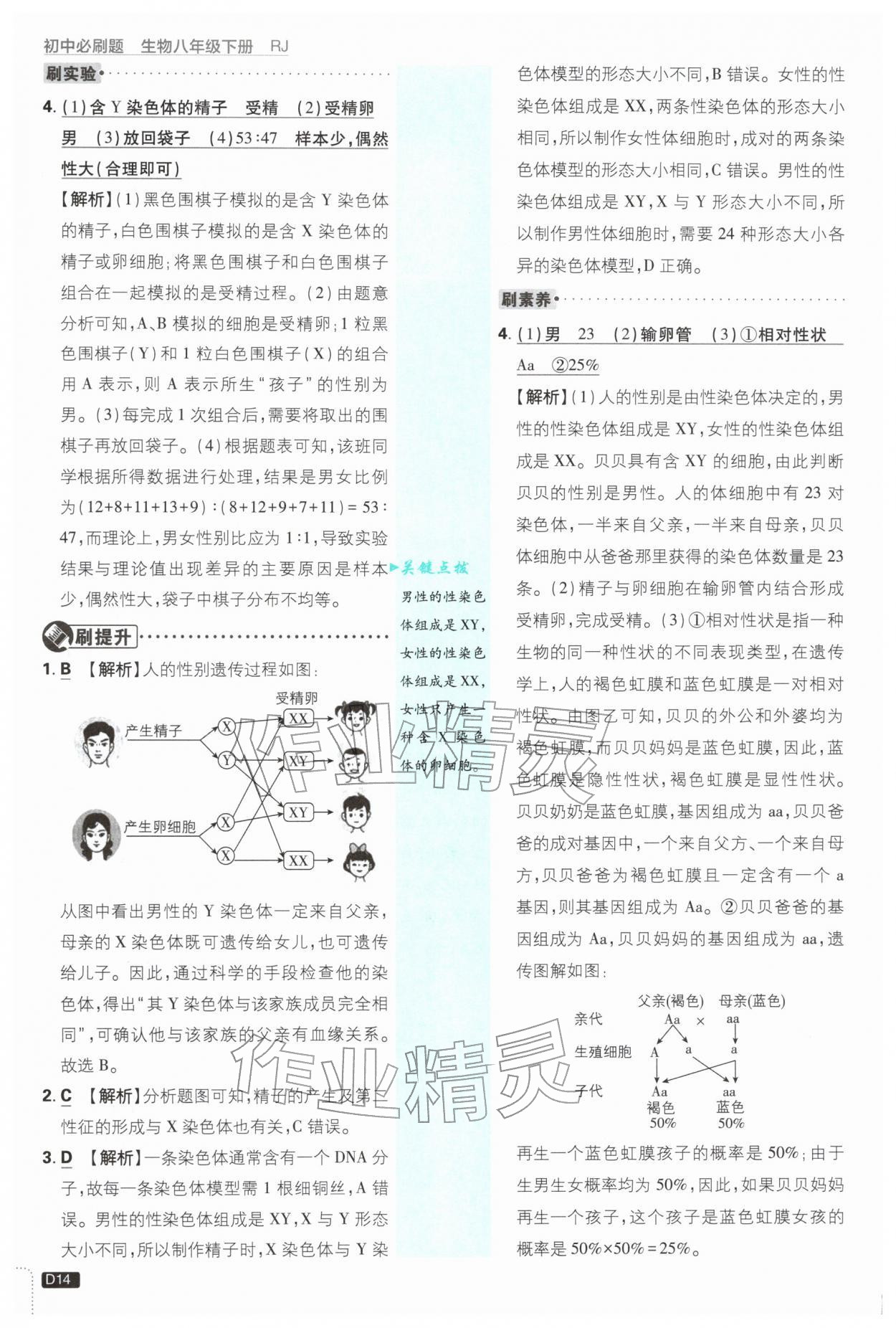 2026年初中必刷题八年级生物下册人教版&nbsp;第14页
