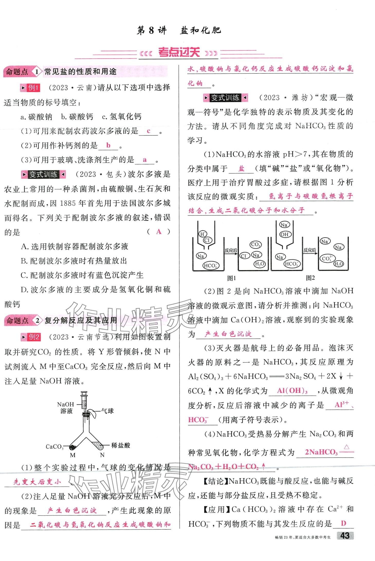 2024年火线100天化学中考云南专版&nbsp;第43页