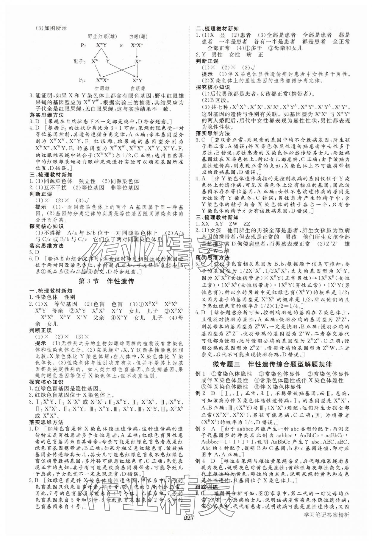 2025年步步高学习笔记生物必修2人教版&nbsp;参考答案第6页