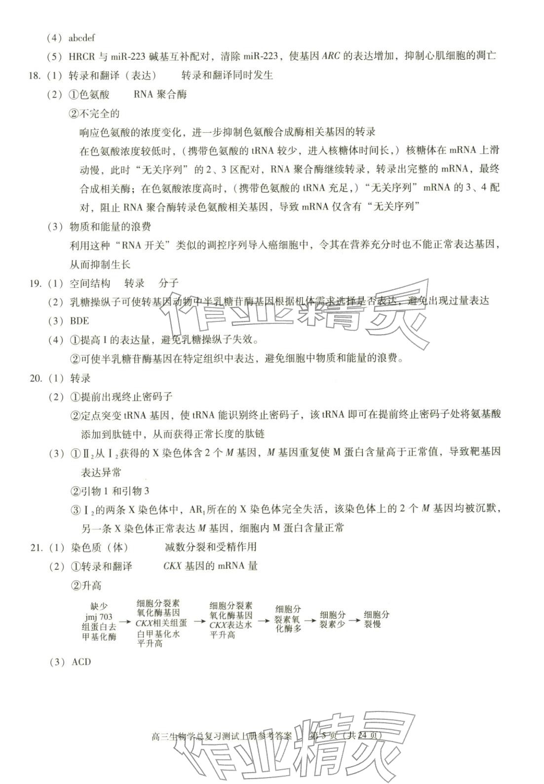 2025年新课程高考总复习丛书高三总复习测试高三生物上册通用版&nbsp;第5页