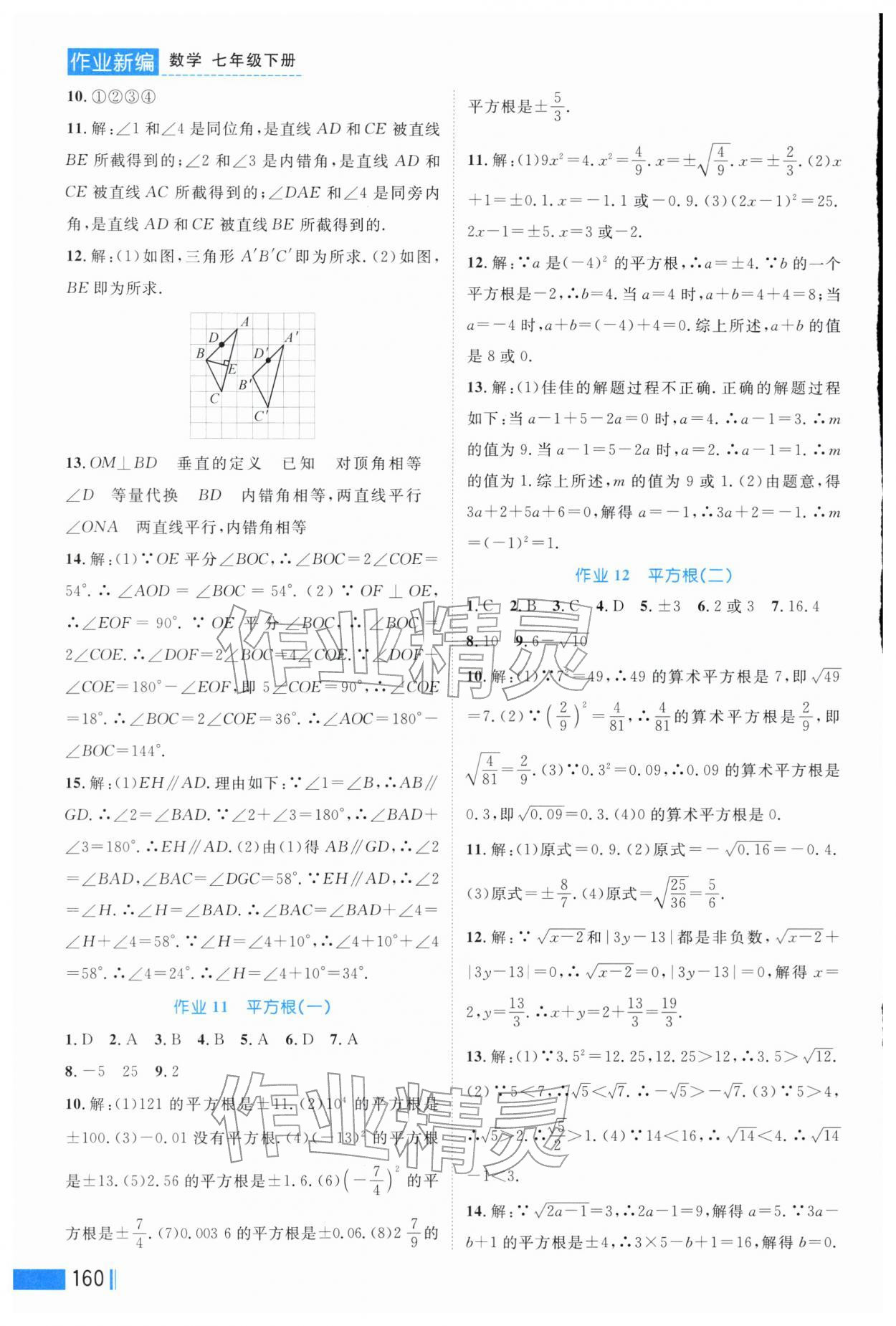 2026年作业新编七年级数学下册人教版&nbsp;第6页